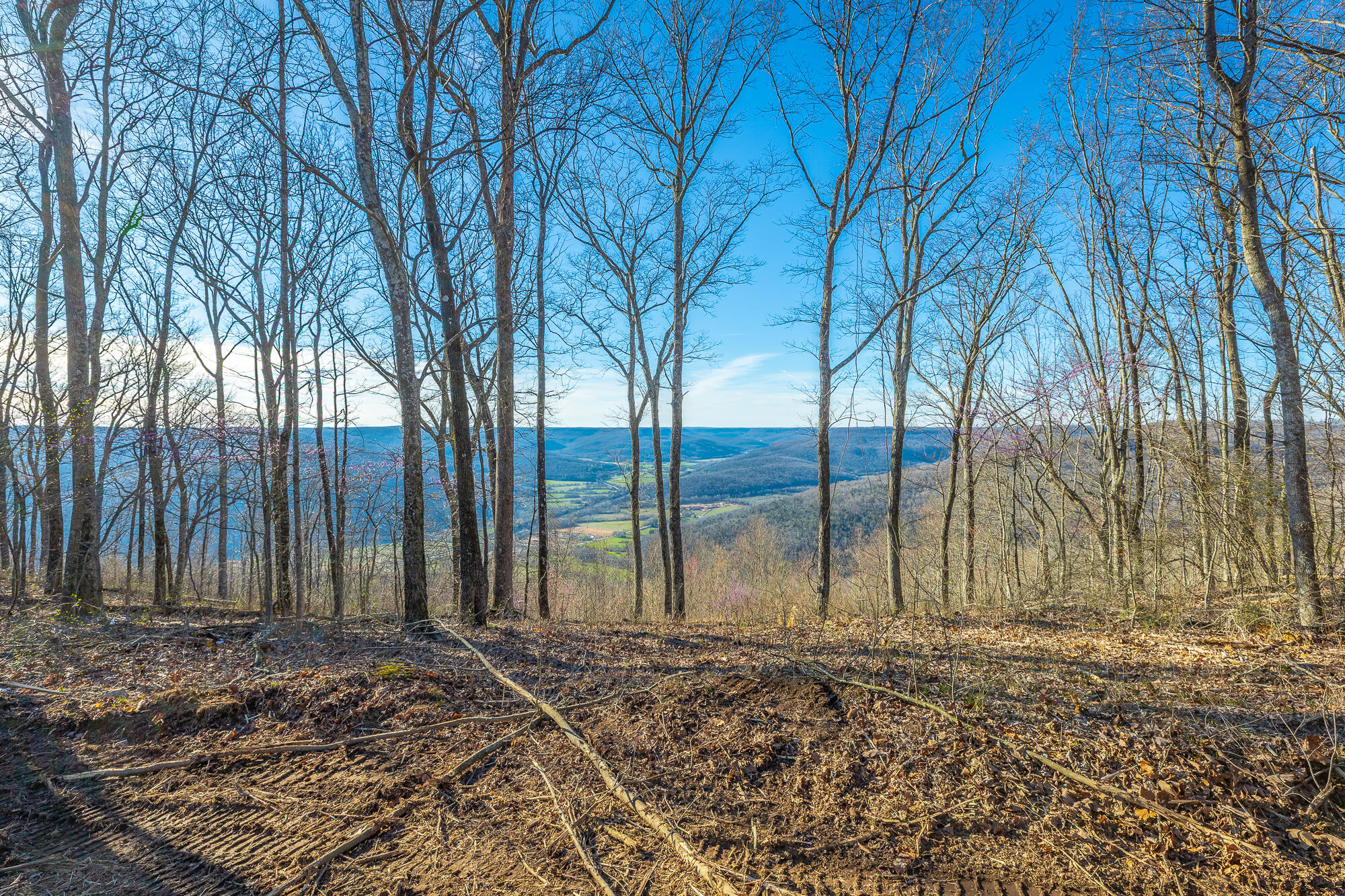 0 Cherokee Path Property Photo 8