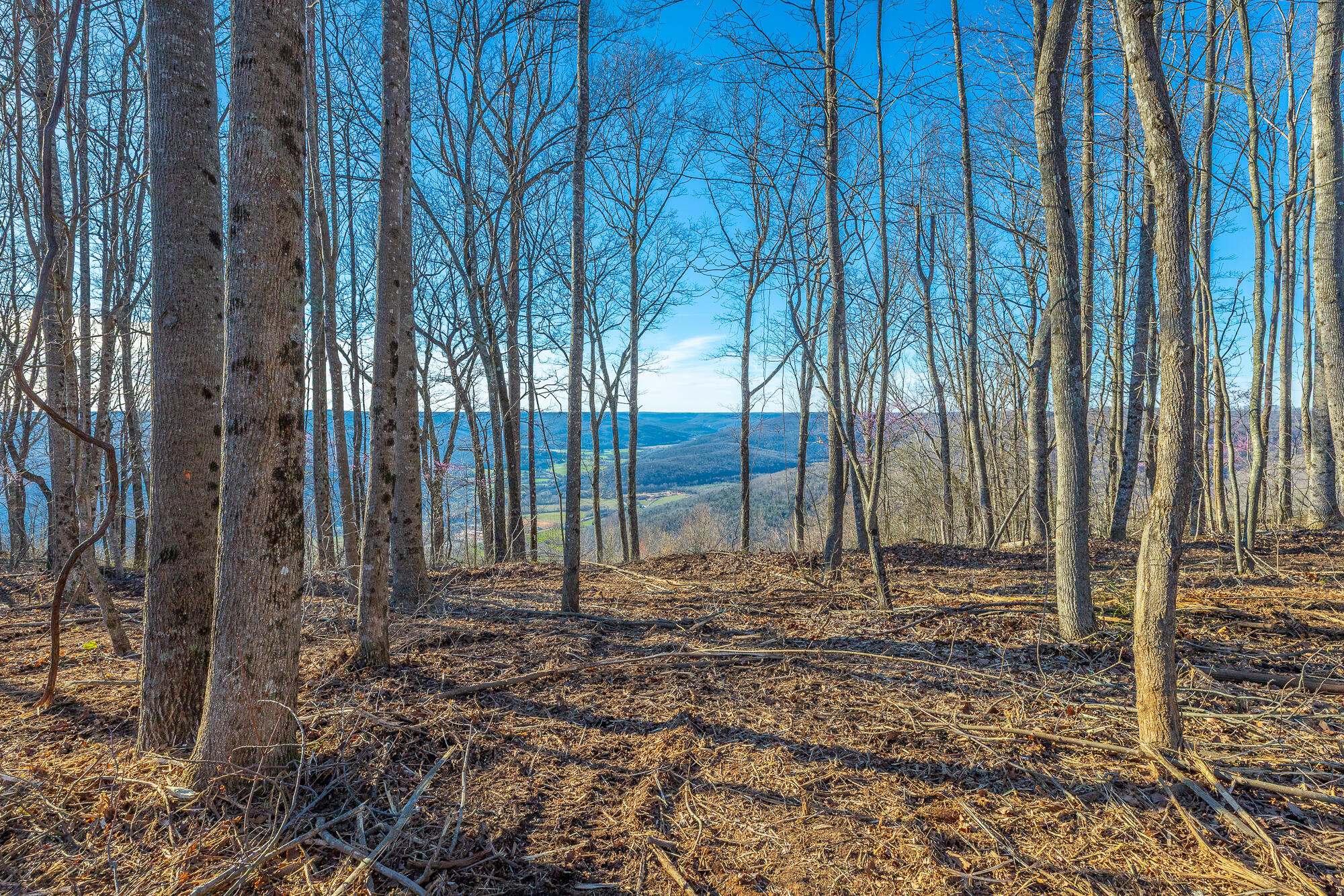 0 Cherokee Path Property Photo 9
