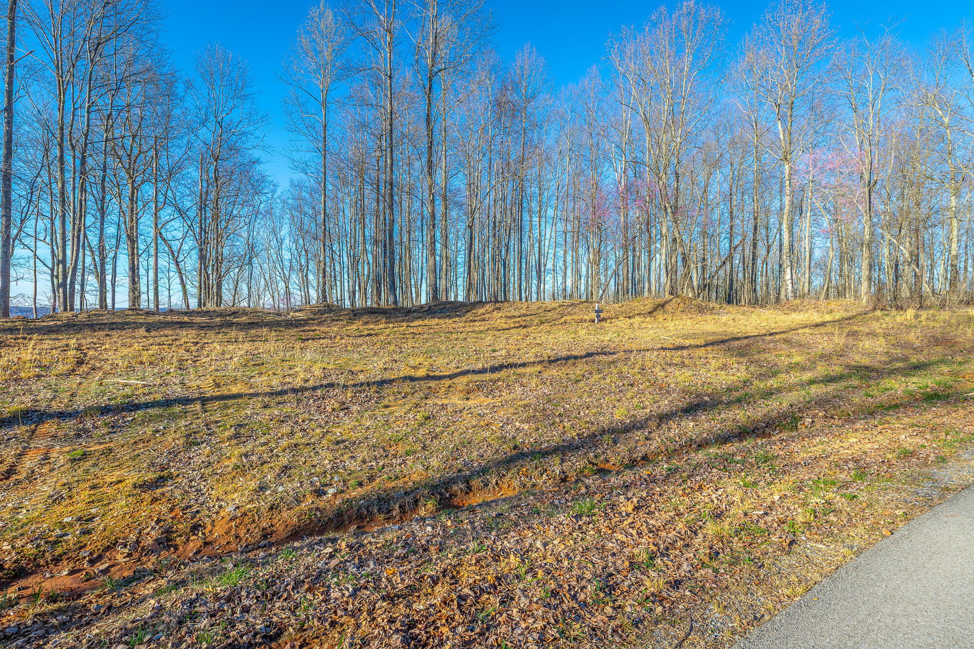 0 Cherokee Path Property Photo 13