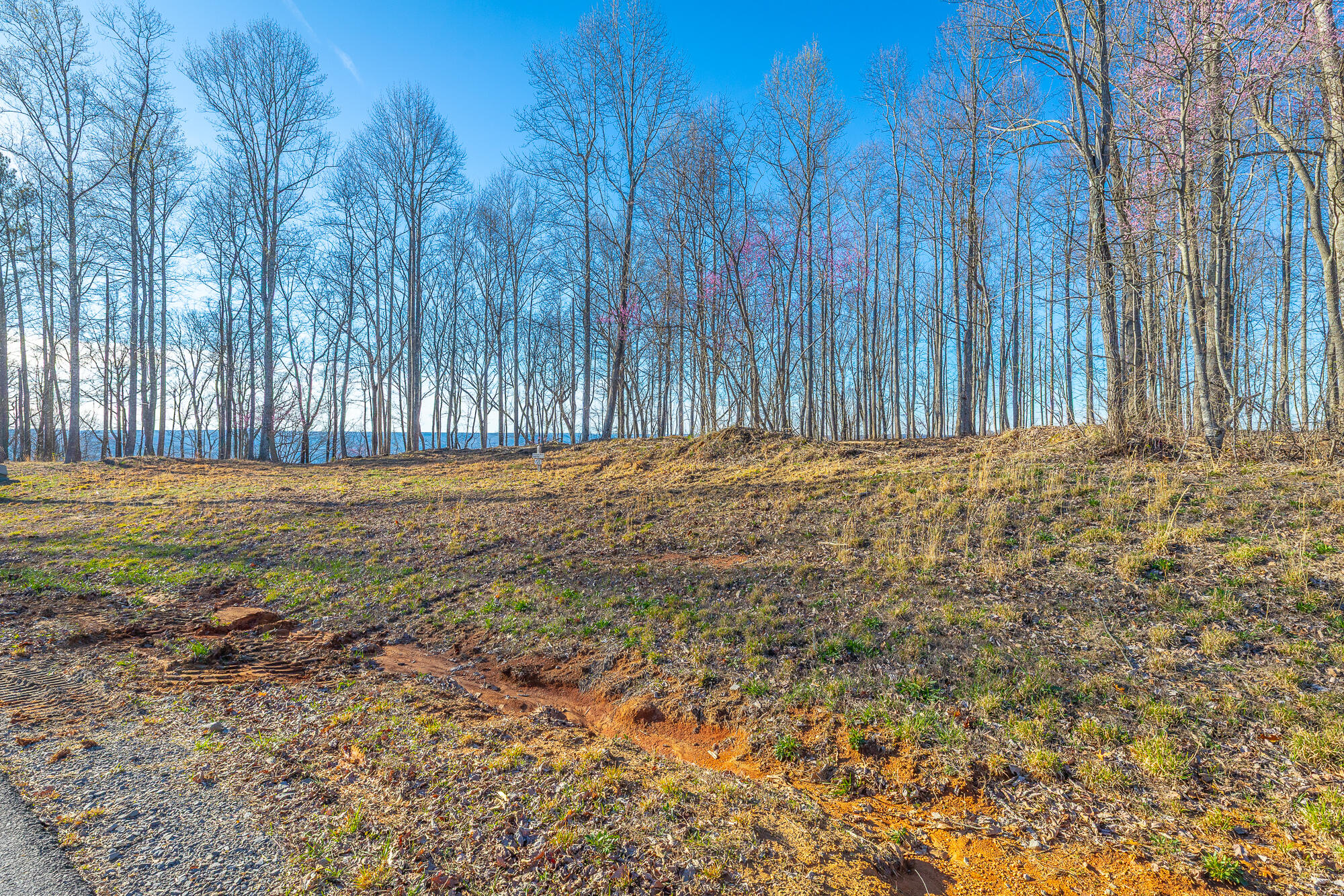 0 Cherokee Path Property Photo 16