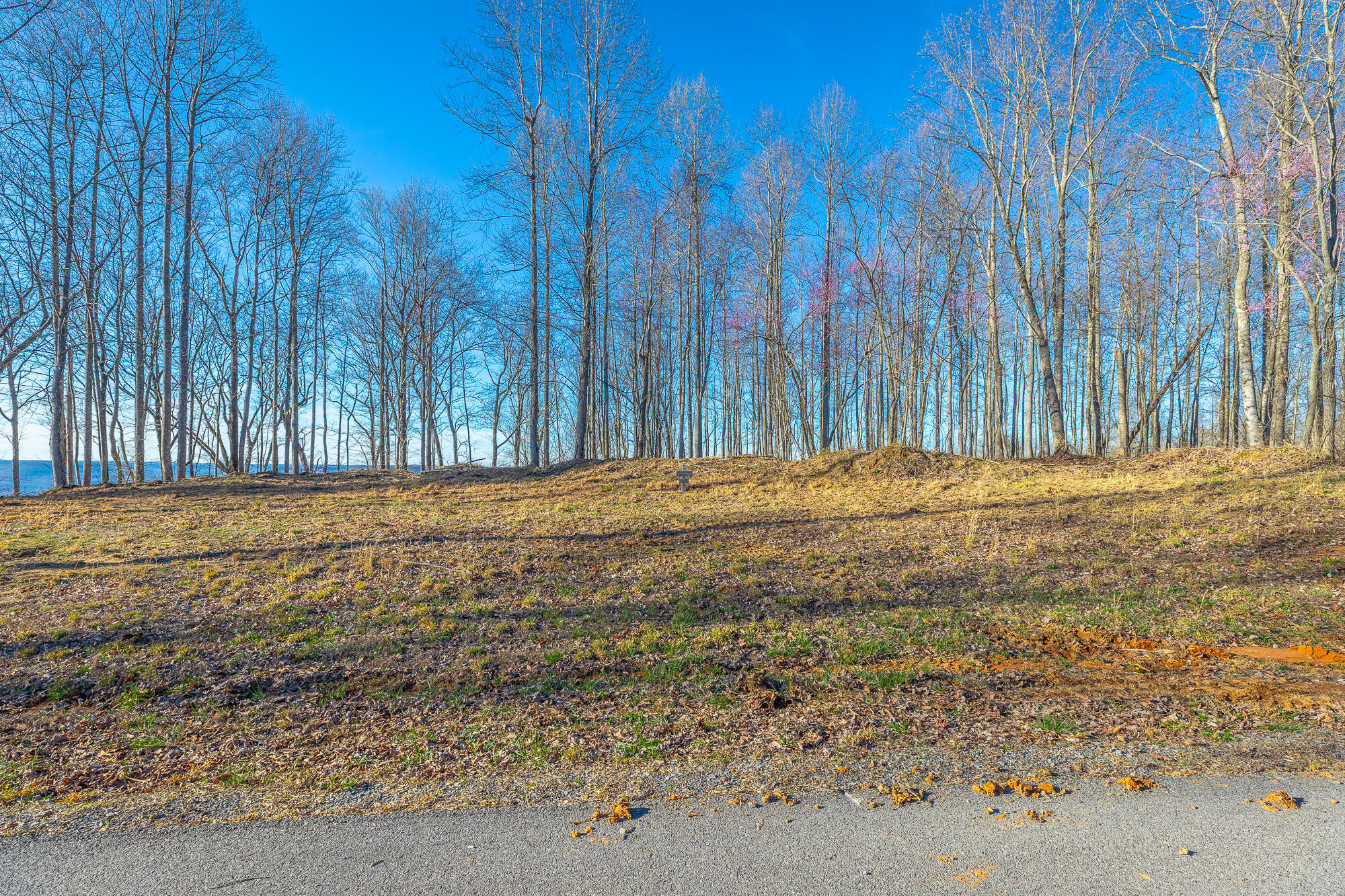 0 Cherokee Path Property Photo 21