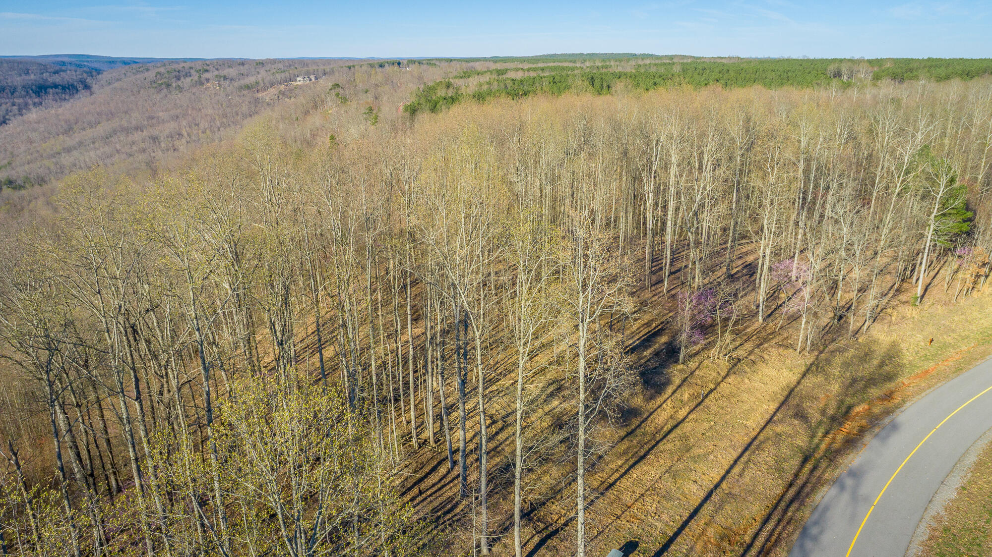 0 Cherokee Path Property Photo 60