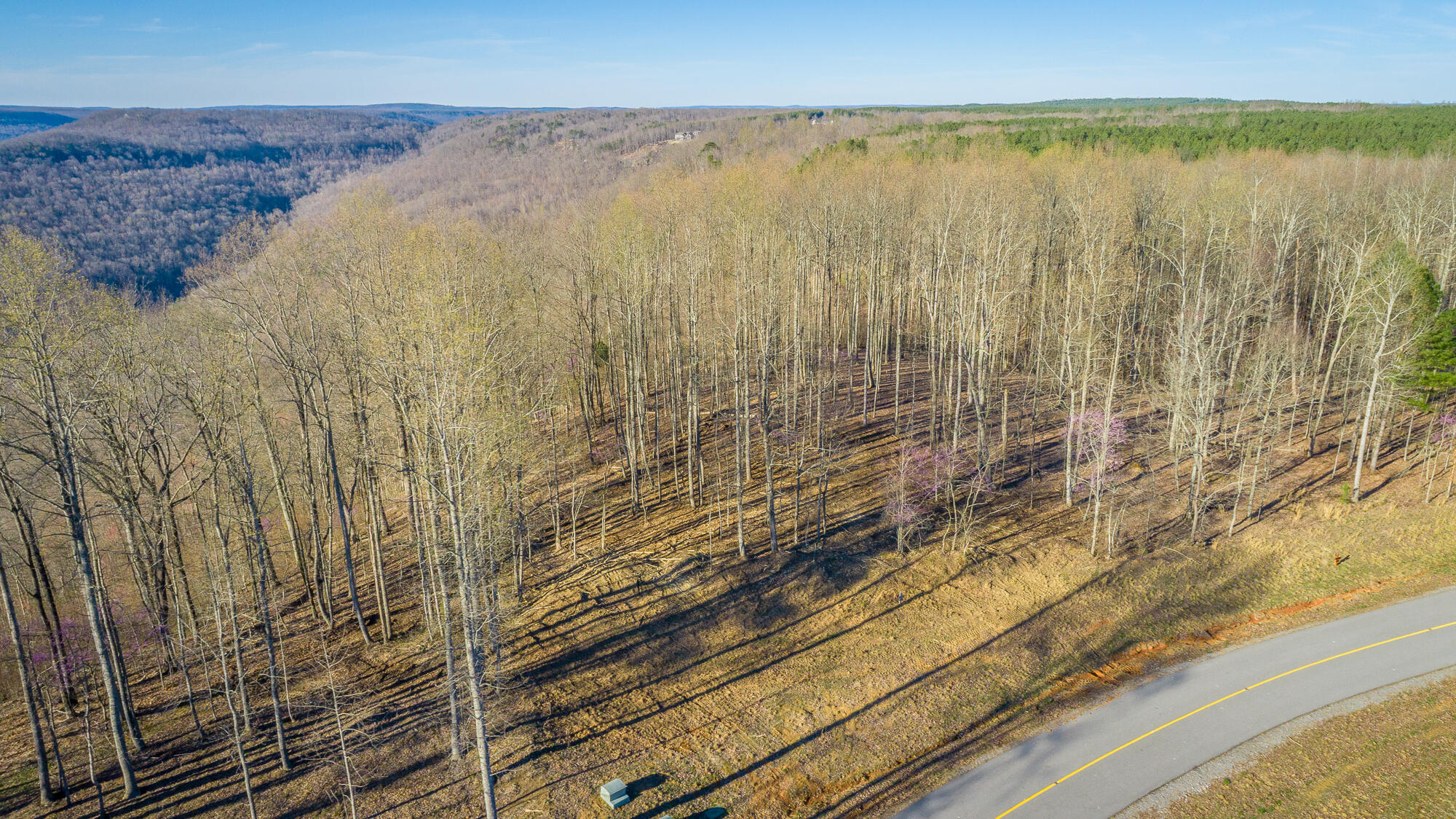 0 Cherokee Path Property Photo 61