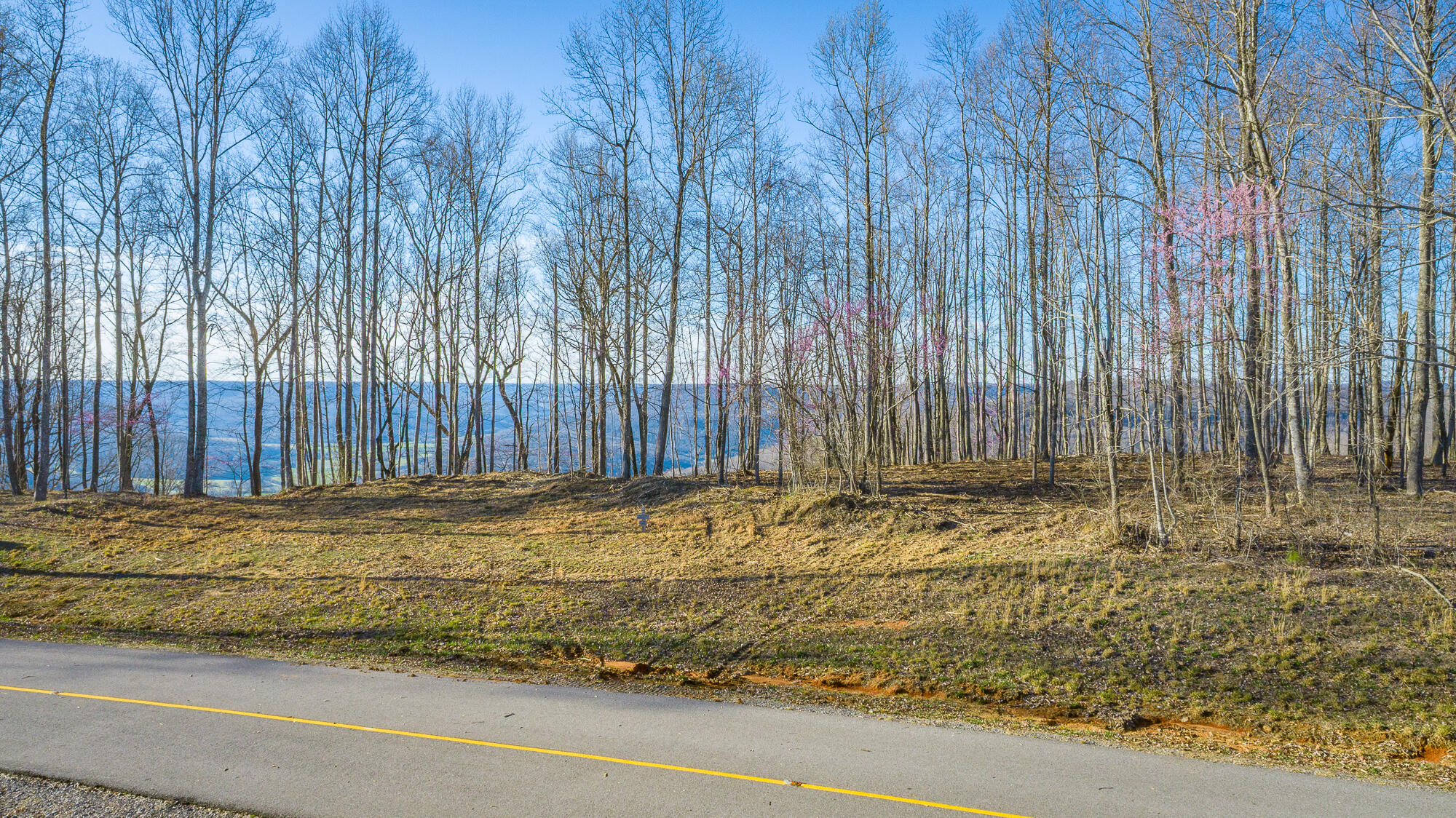 0 Cherokee Path Property Photo 66