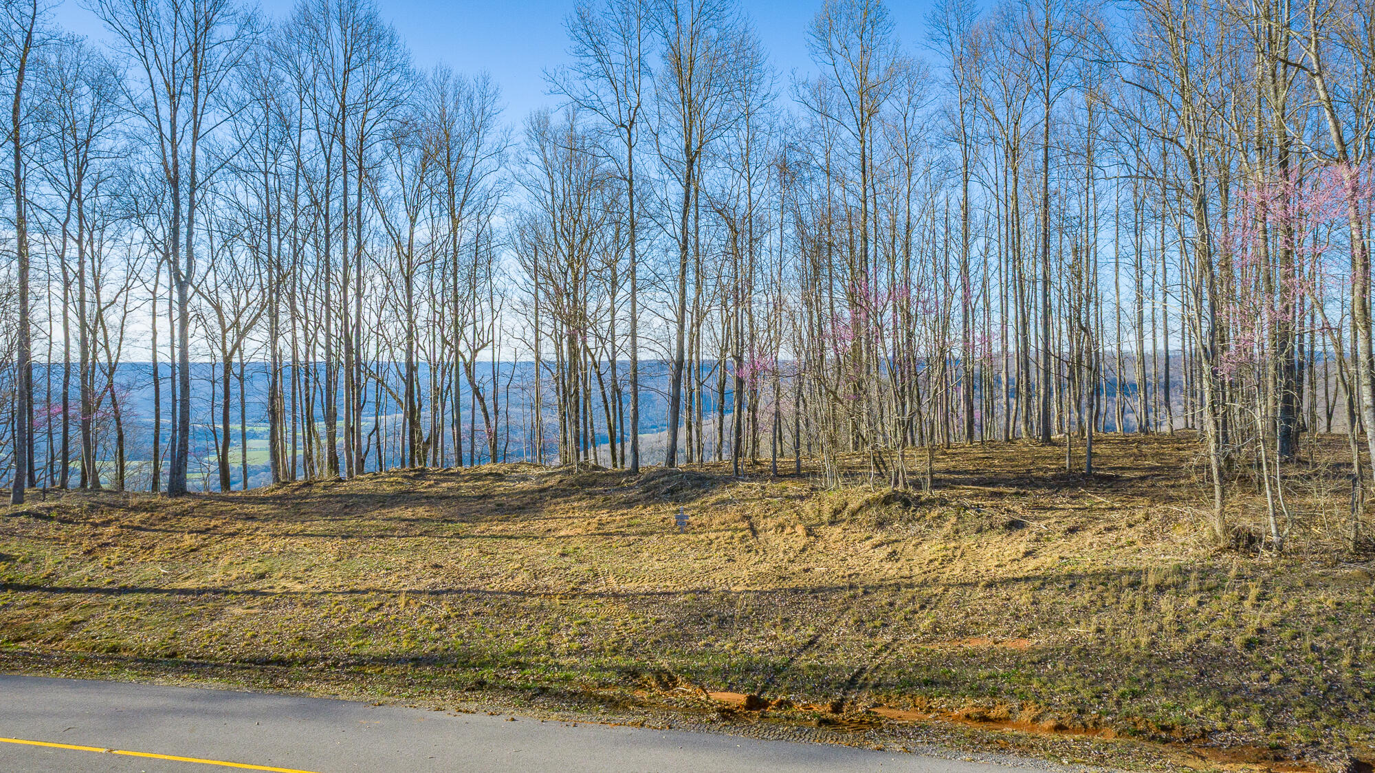 0 Cherokee Path Property Photo 67