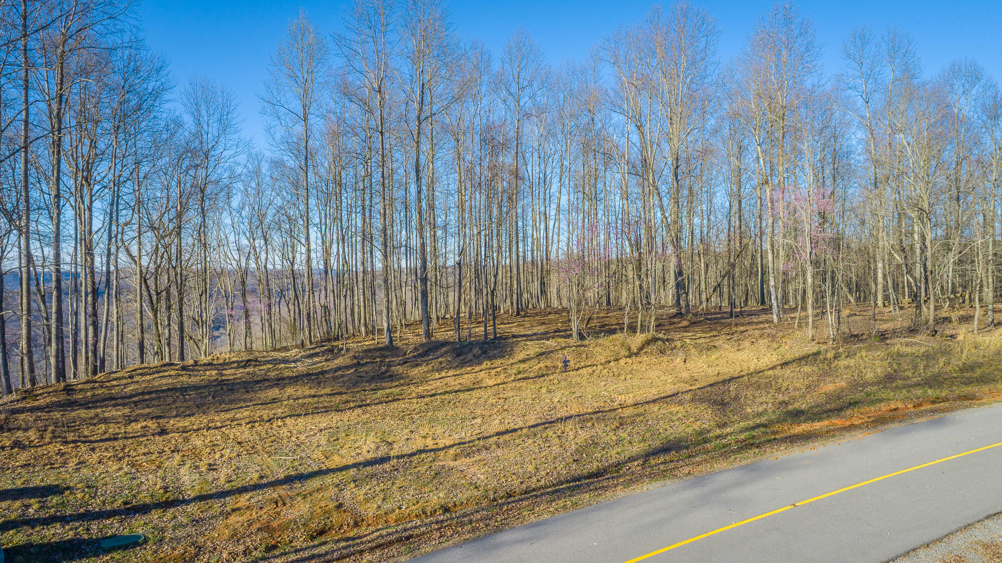0 Cherokee Path Property Photo 68