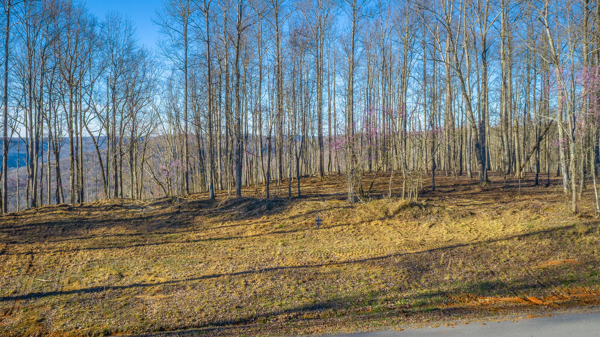 0 Cherokee Path Property Photo 70