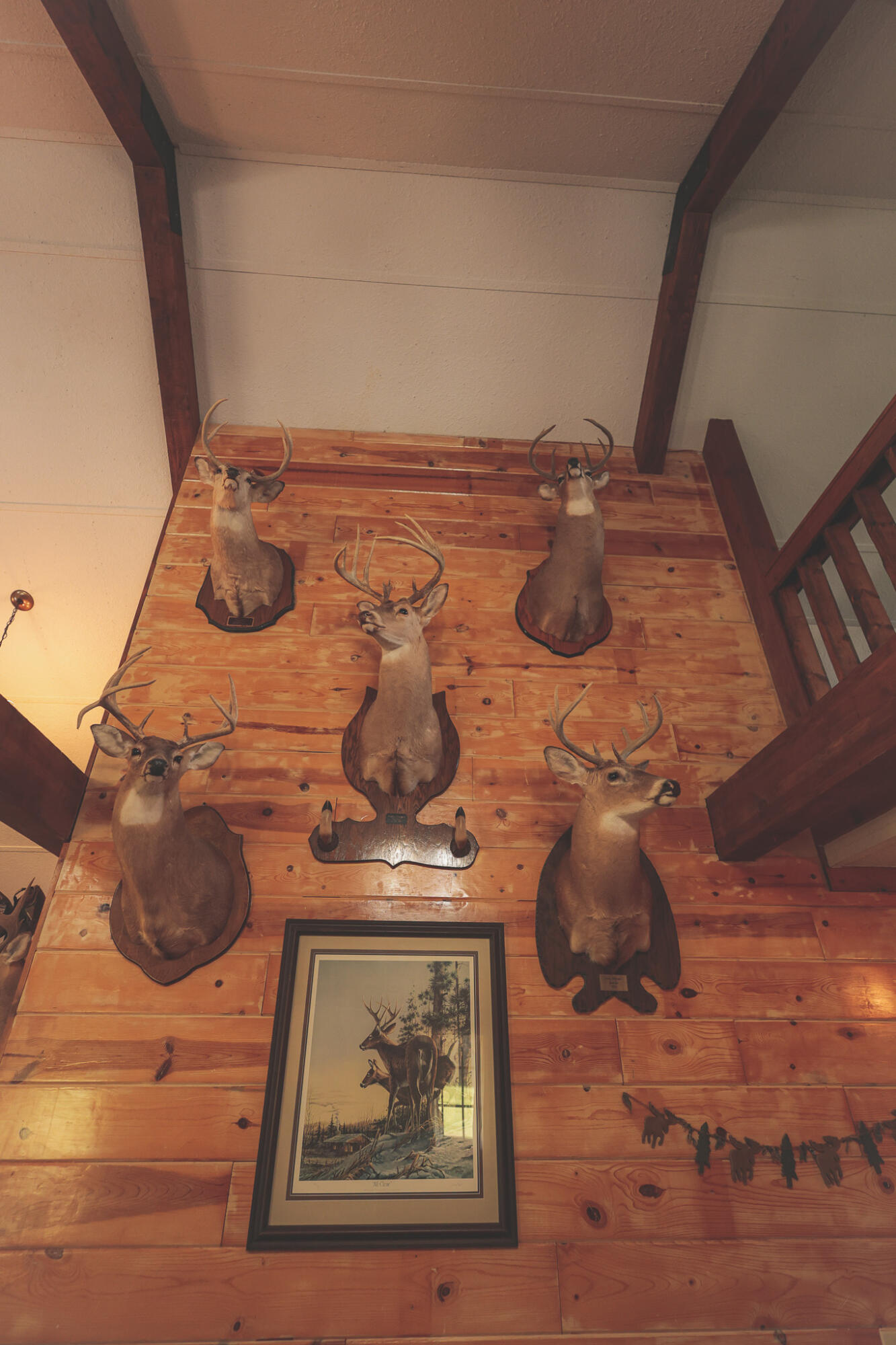 1047 Nelson Harrison Road Property Photo 11