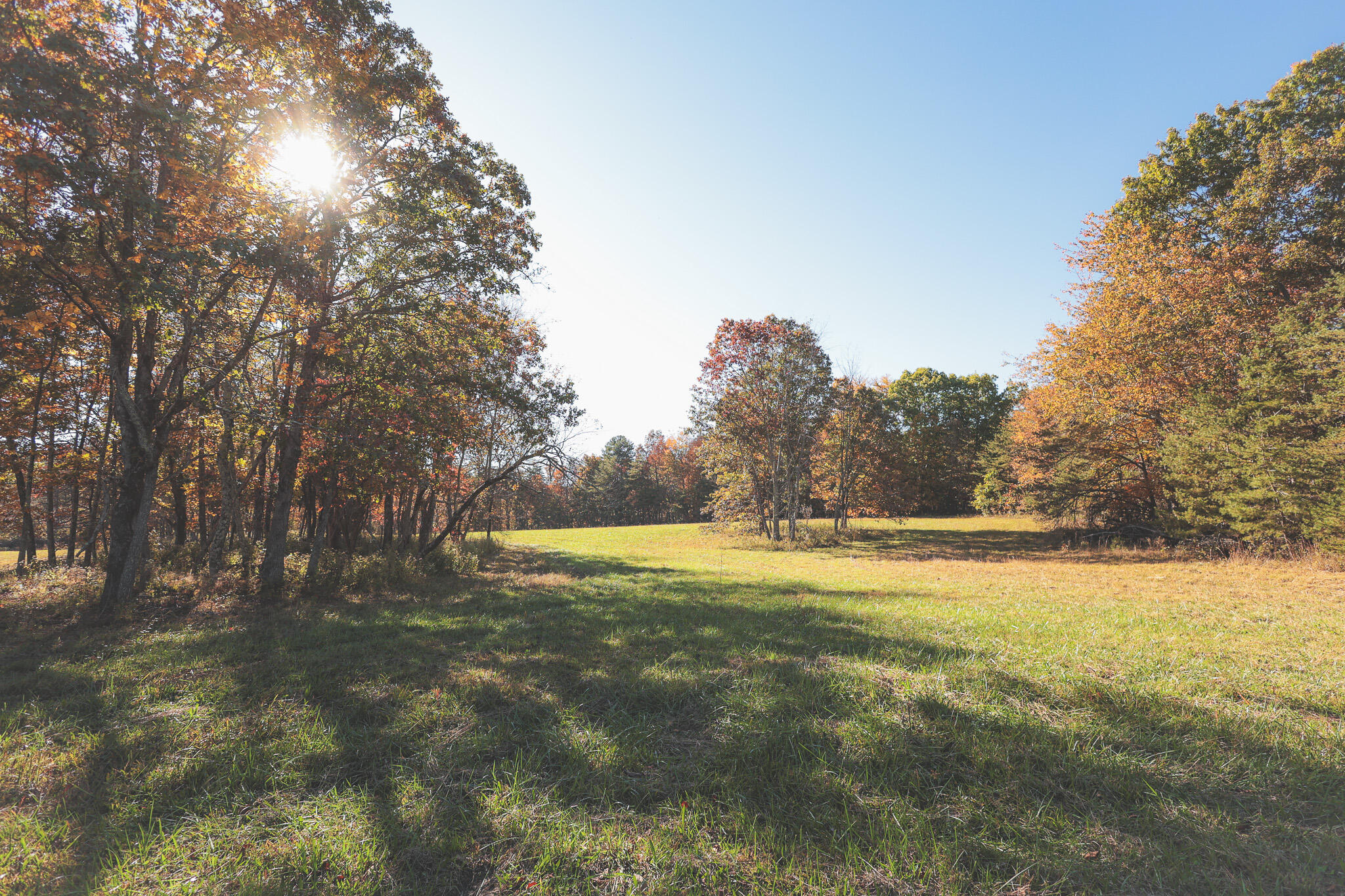 1047 Nelson Harrison Road Property Photo 16