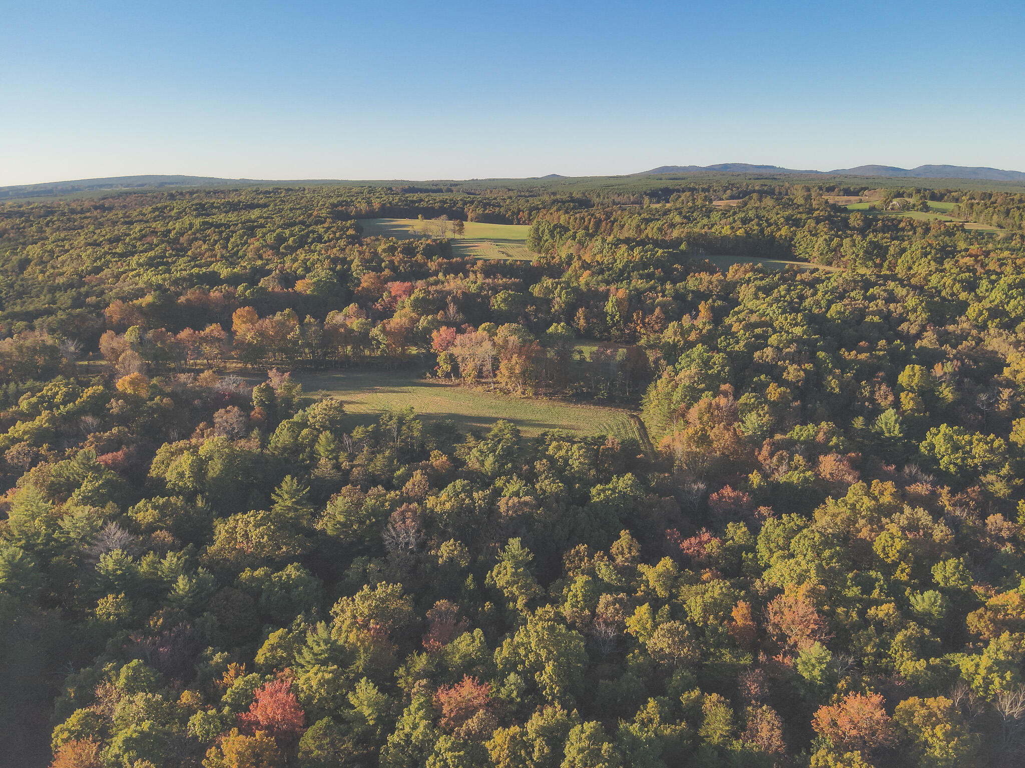 1047 Nelson Harrison Road Property Photo 19