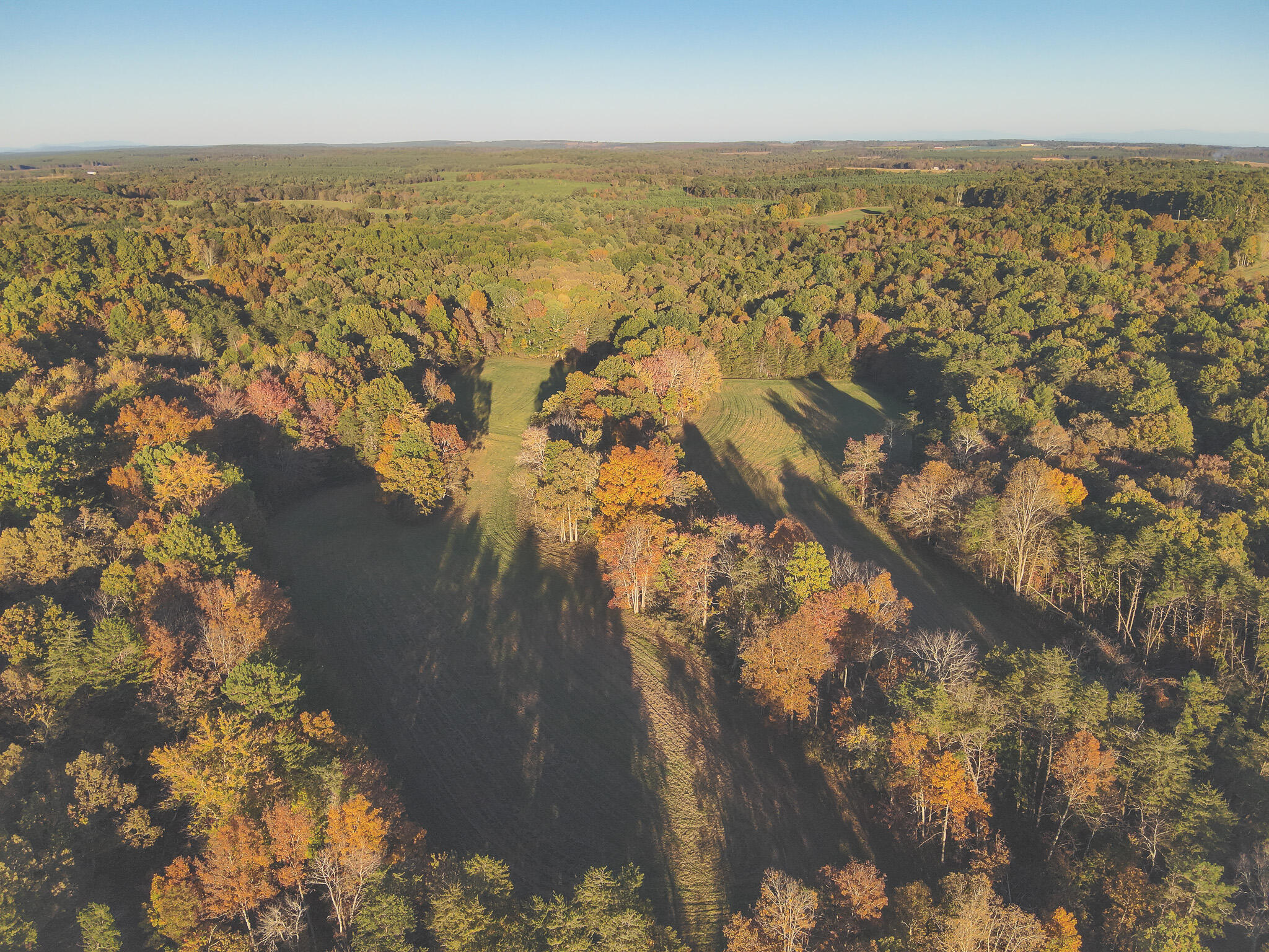 1047 Nelson Harrison Road Property Photo 21