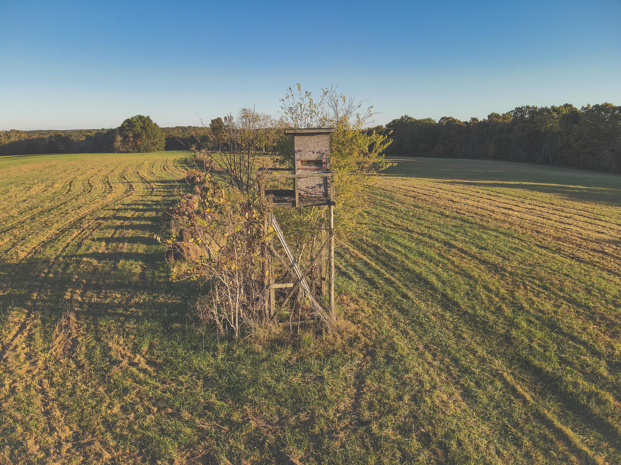 1047 Nelson Harrison Road Property Photo 23