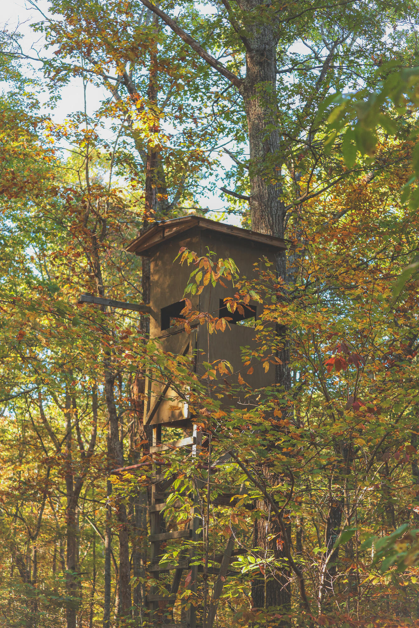 1047 Nelson Harrison Road Property Photo 33