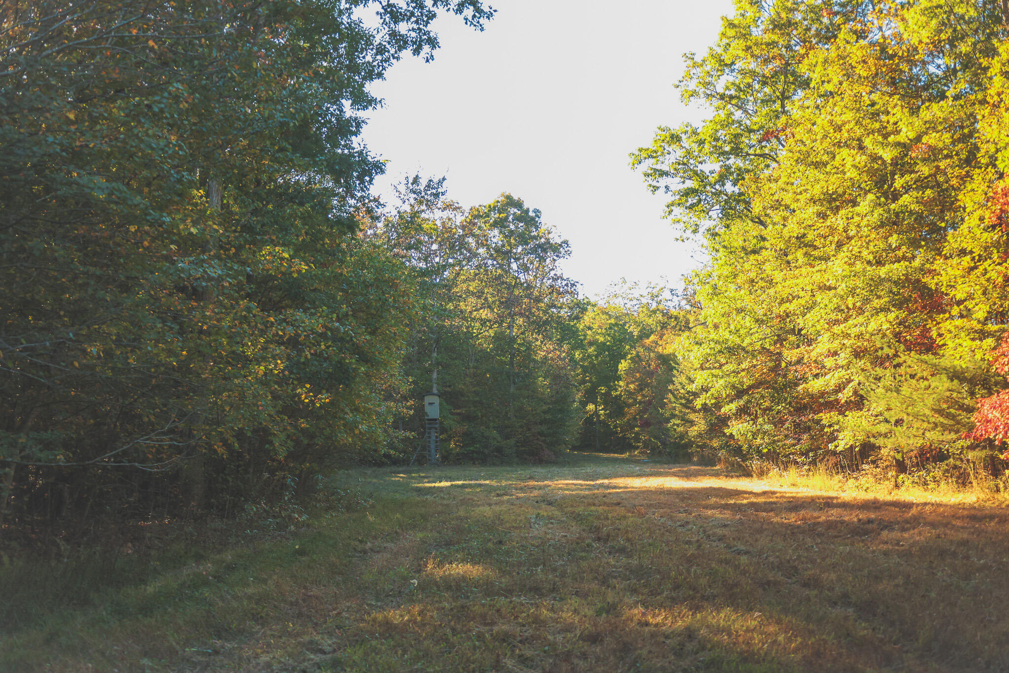 1047 Nelson Harrison Road Property Photo 38