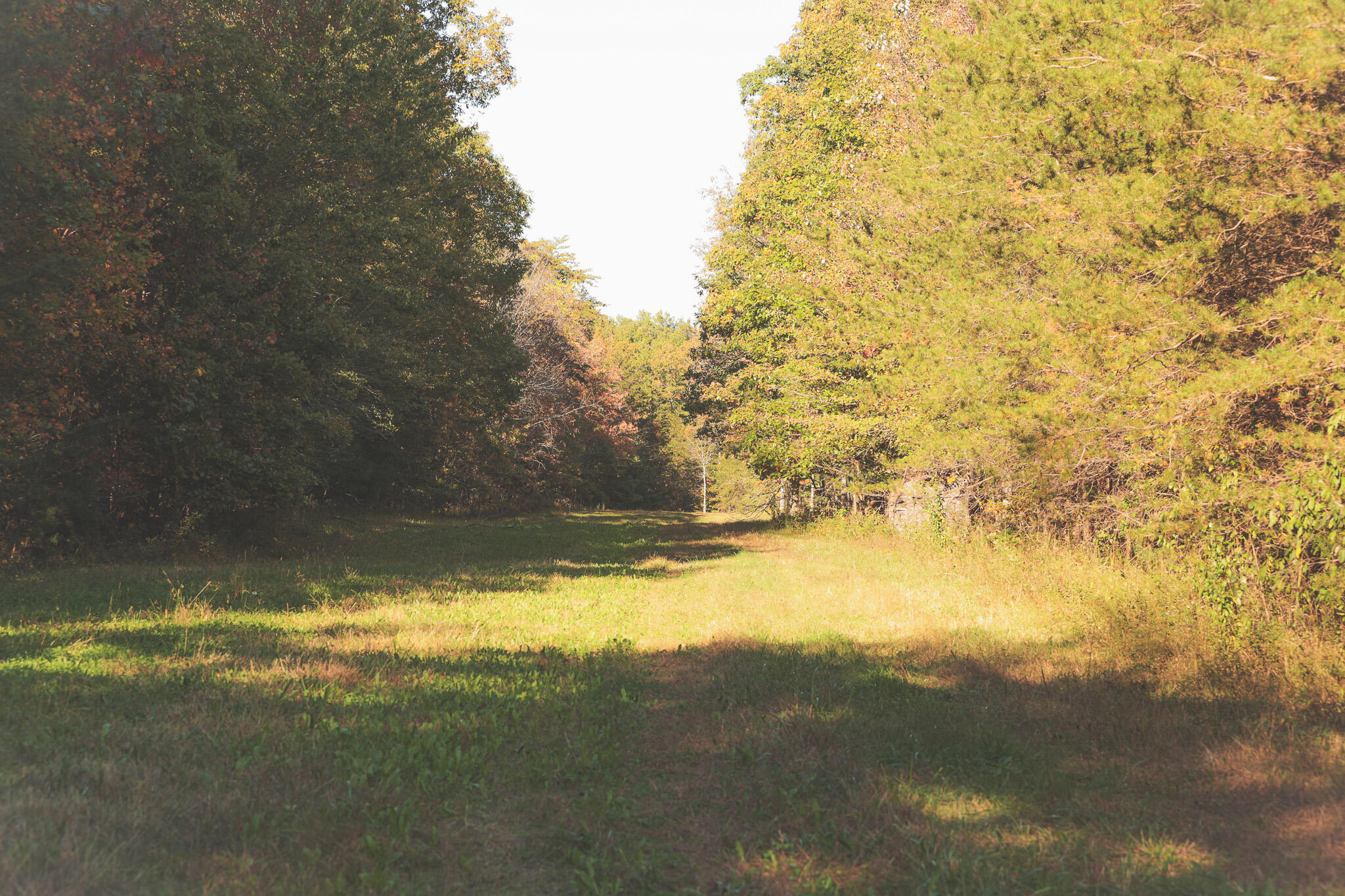 1047 Nelson Harrison Road Property Photo 103