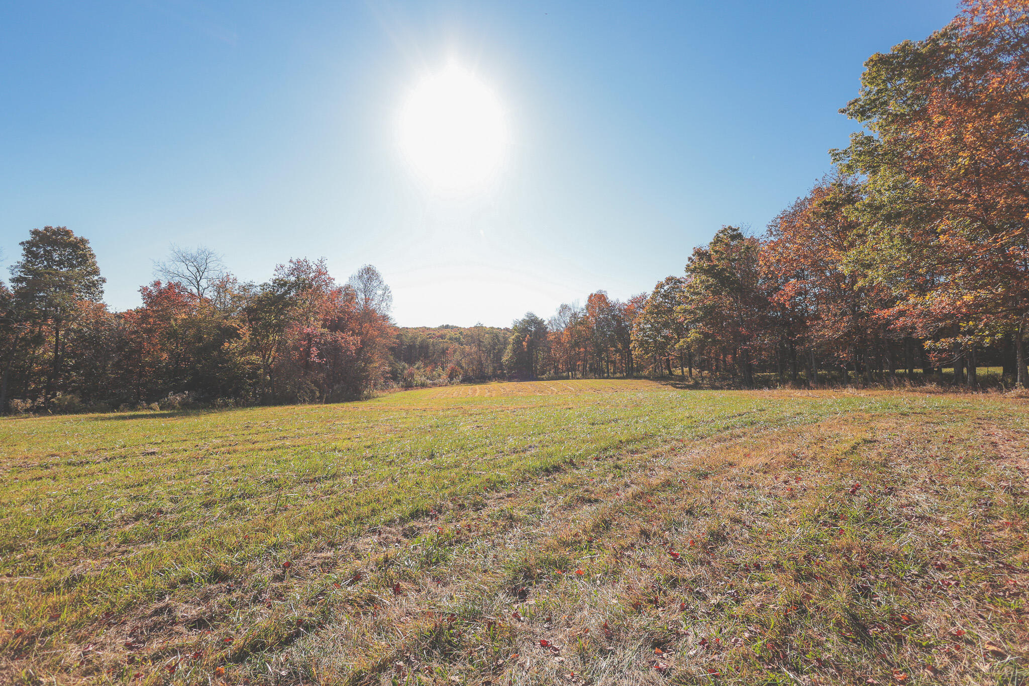 1047 Nelson Harrison Road Property Photo 108