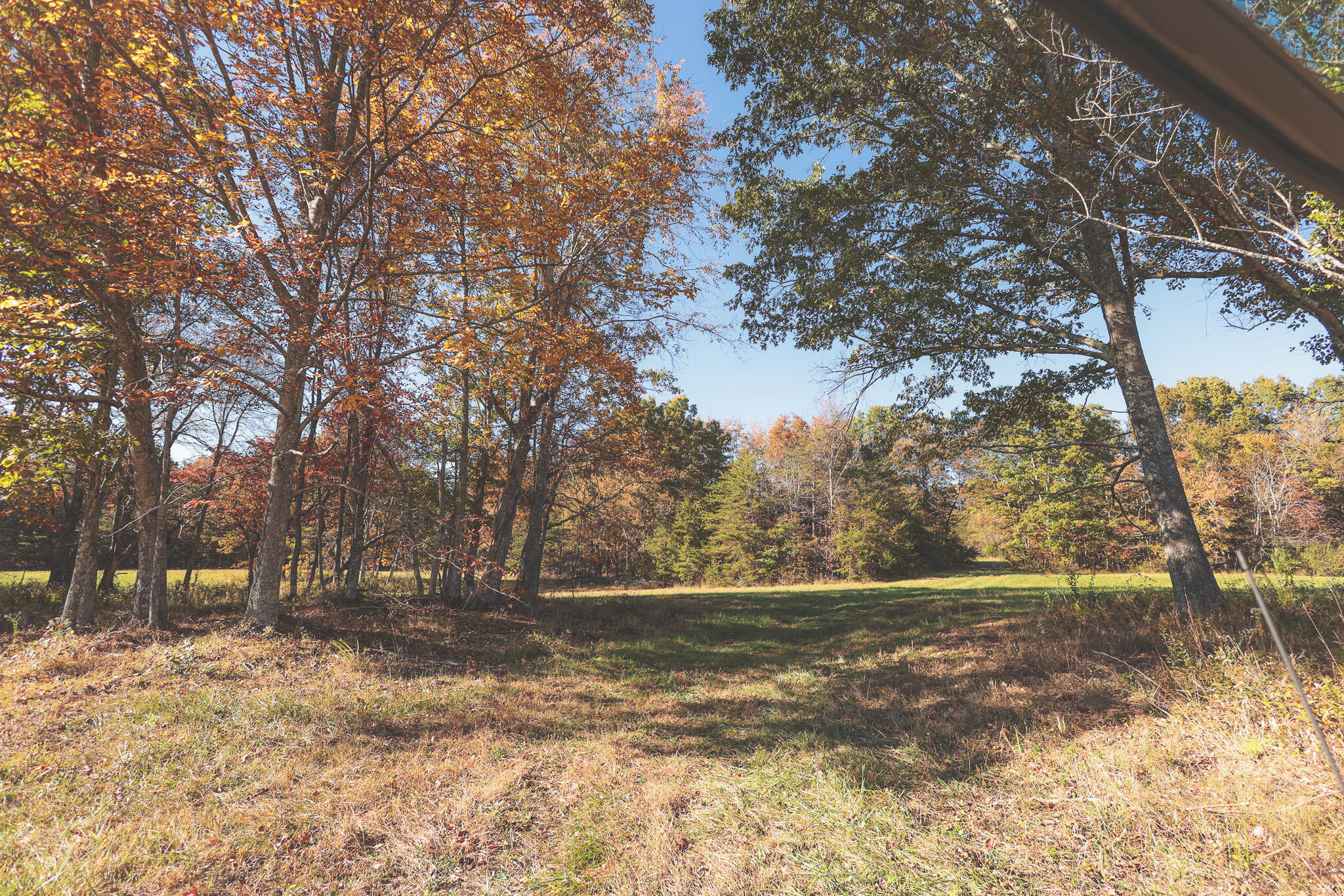 1047 Nelson Harrison Road Property Photo 109