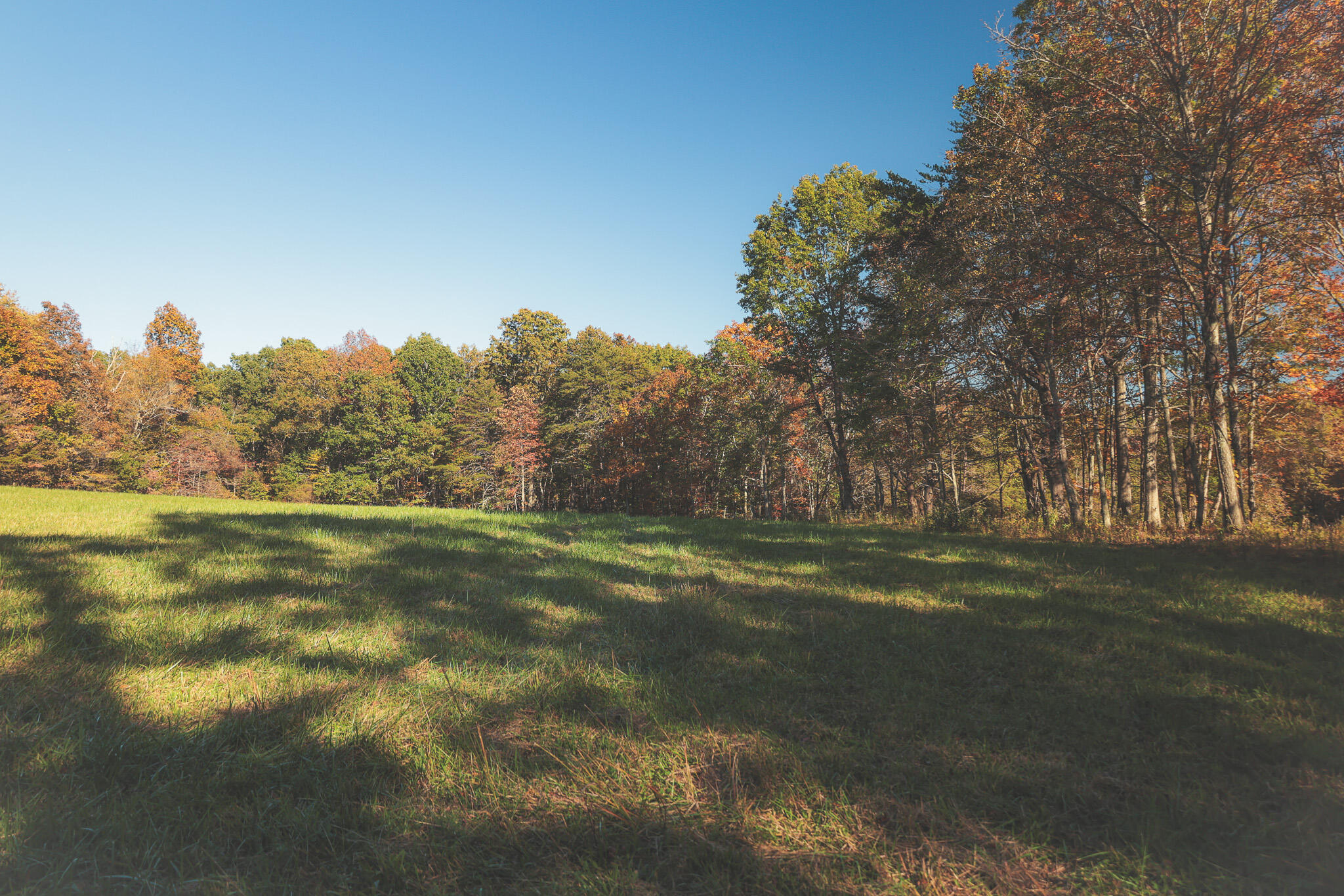 1047 Nelson Harrison Road Property Photo 111
