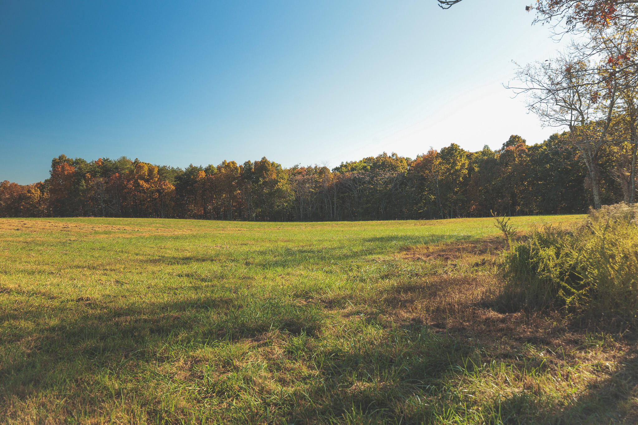 1047 Nelson Harrison Road Property Photo 116