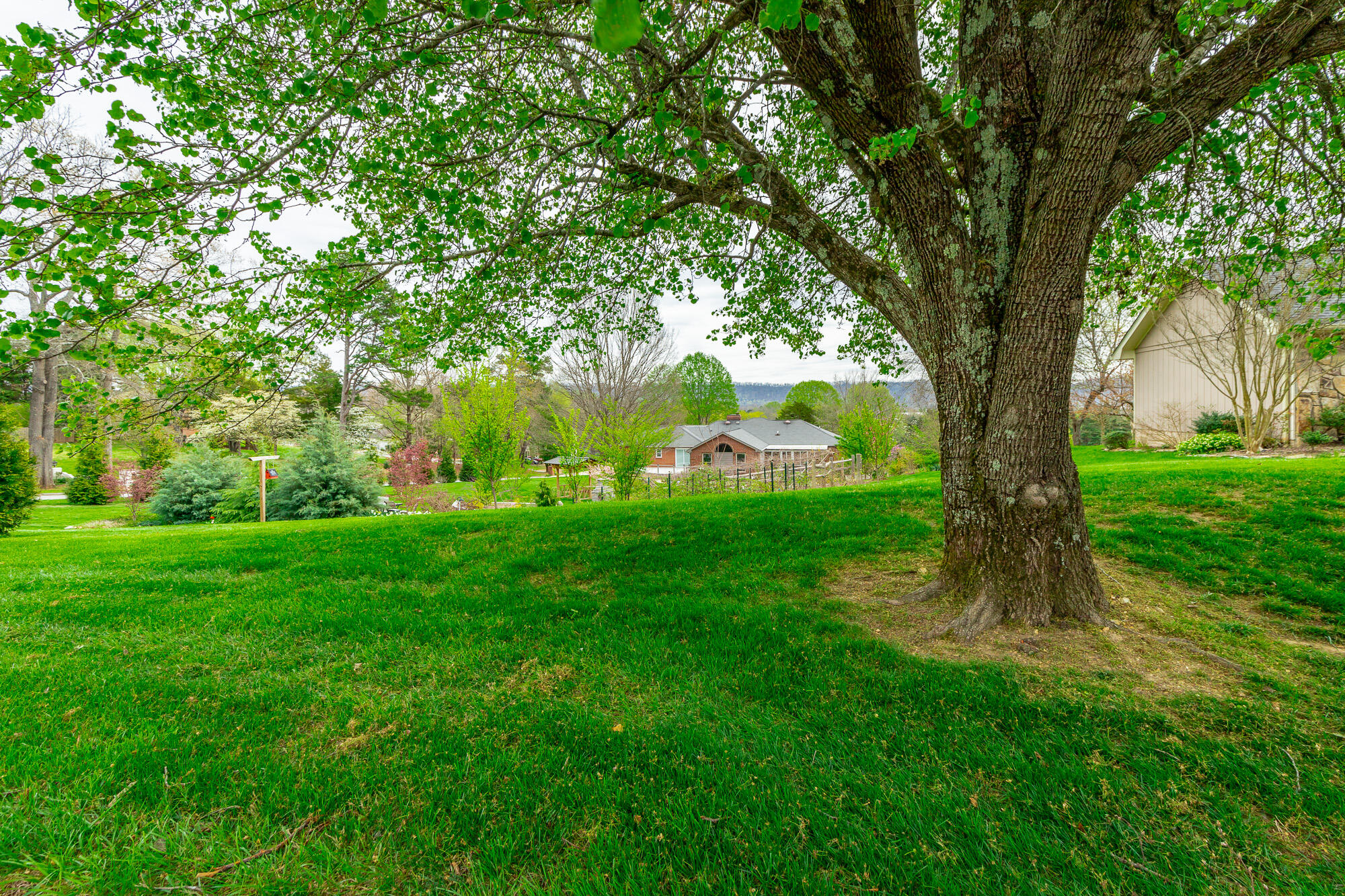 5423 Mill Stone Drive Property Photo 68