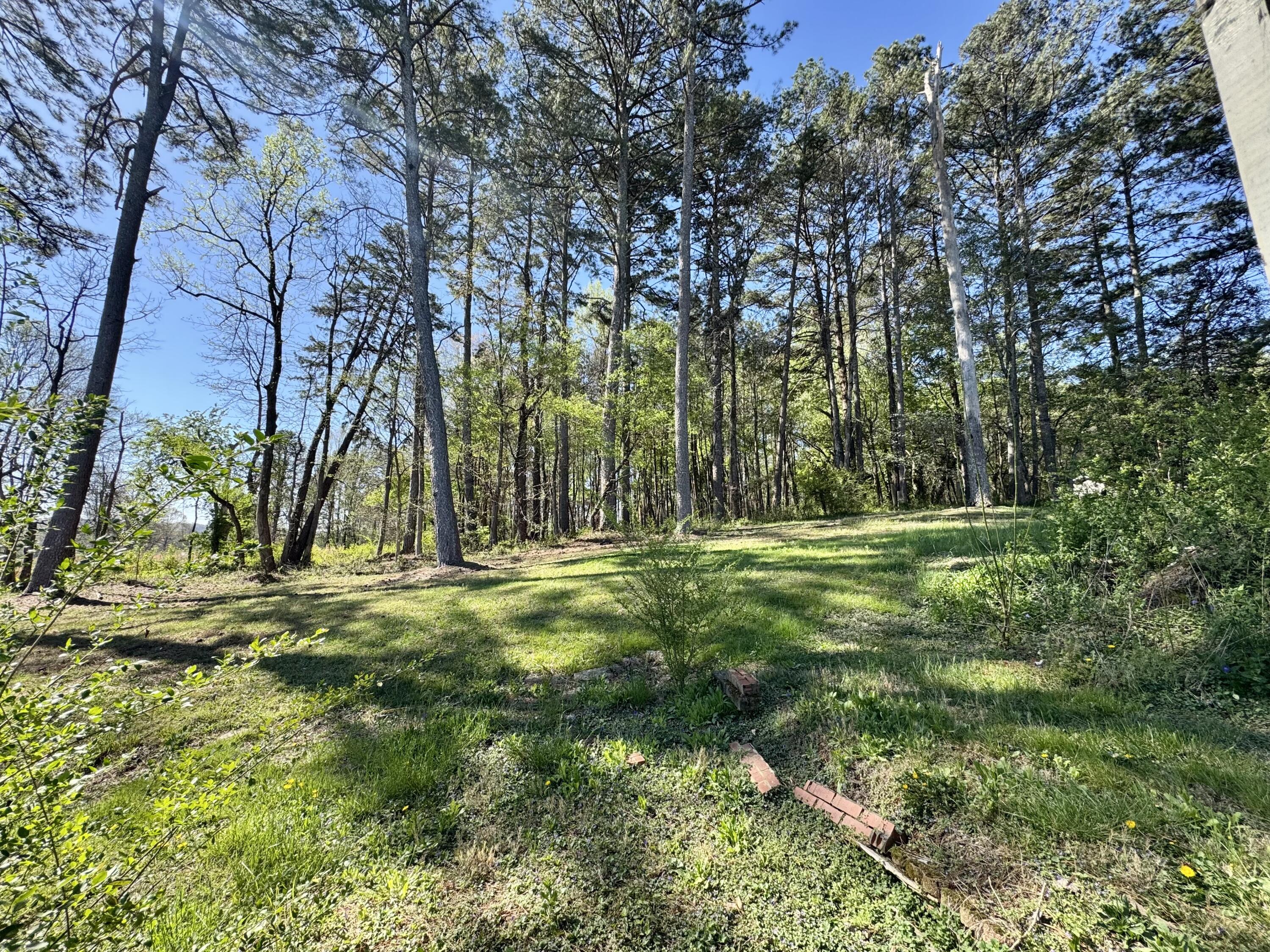 670 Pine Grove Road Property Photo 24