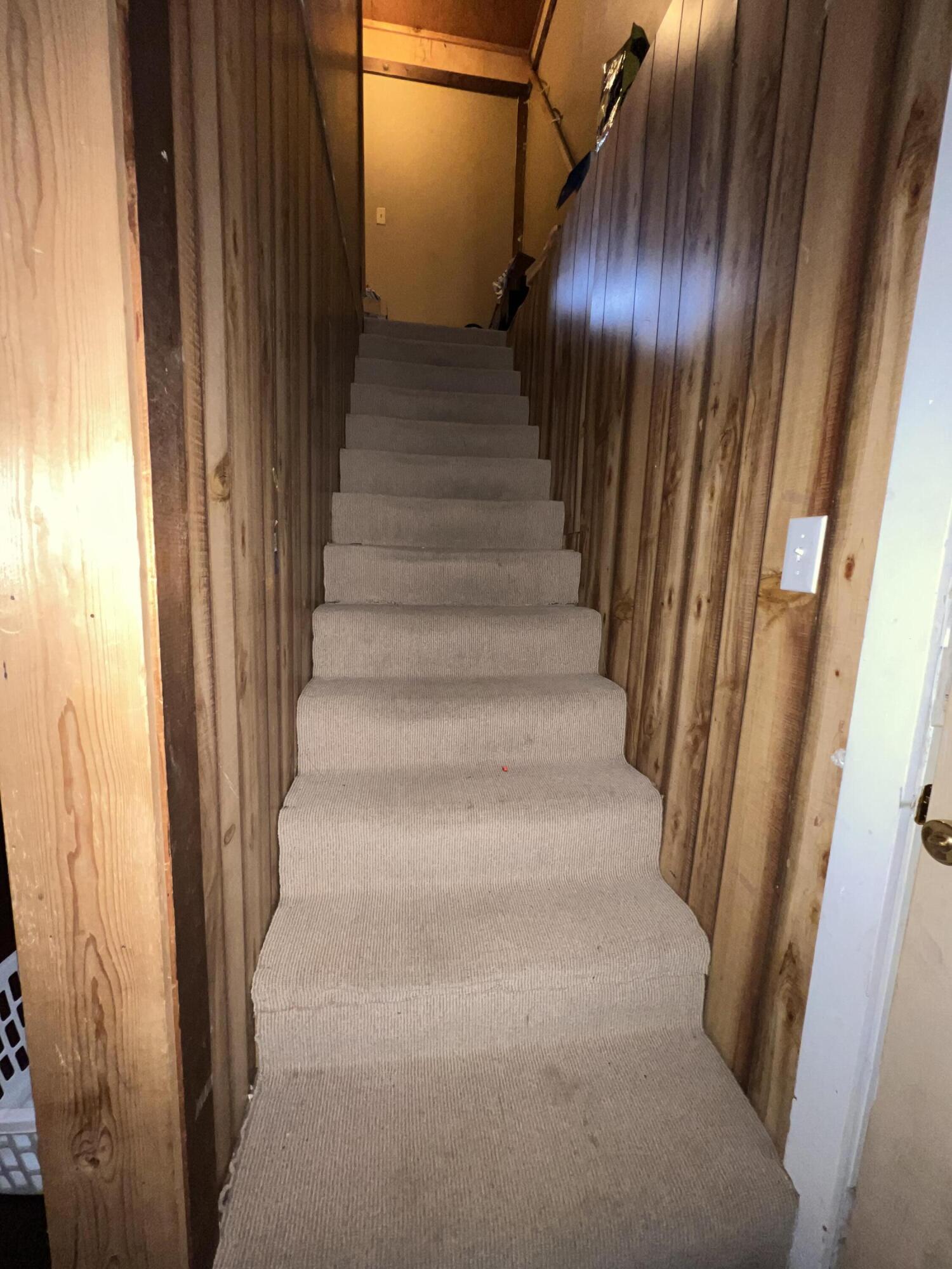 61 Walker Street Property Photo 22