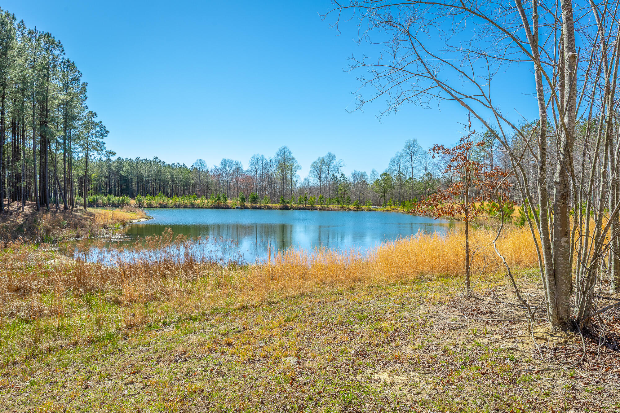 0 Cherokee Path Property Photo 1
