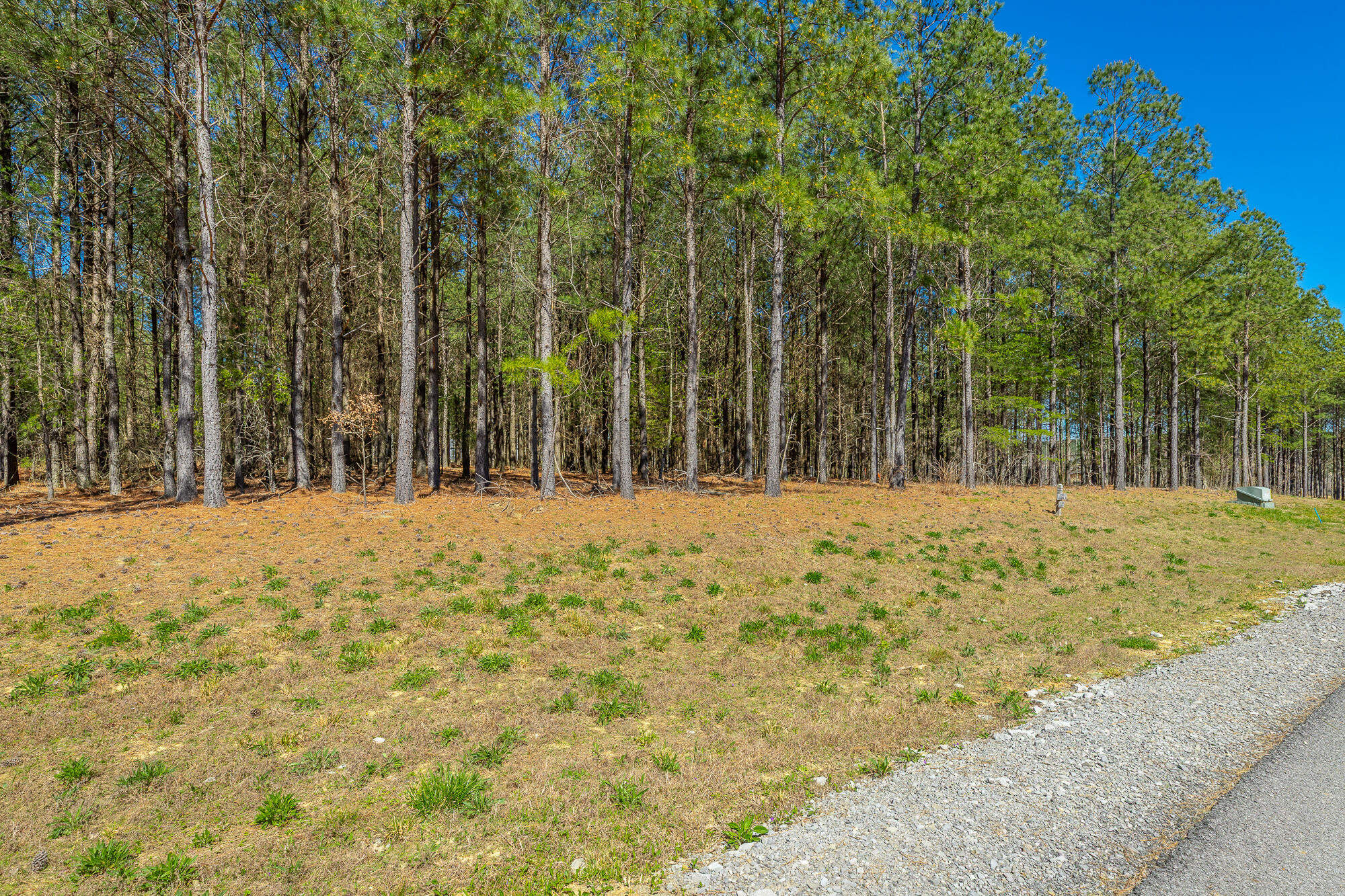 190 Arrowhead Lane Property Photo 19