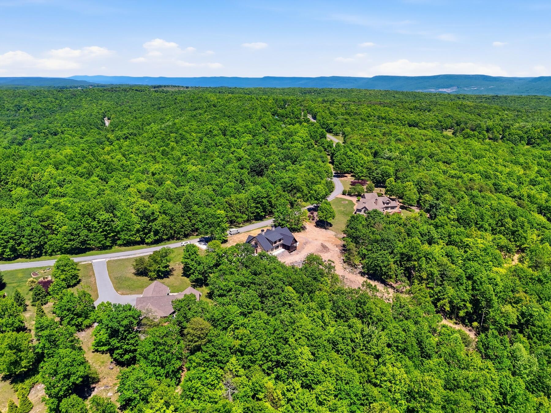 209 Tunnie Point Property Photo 8