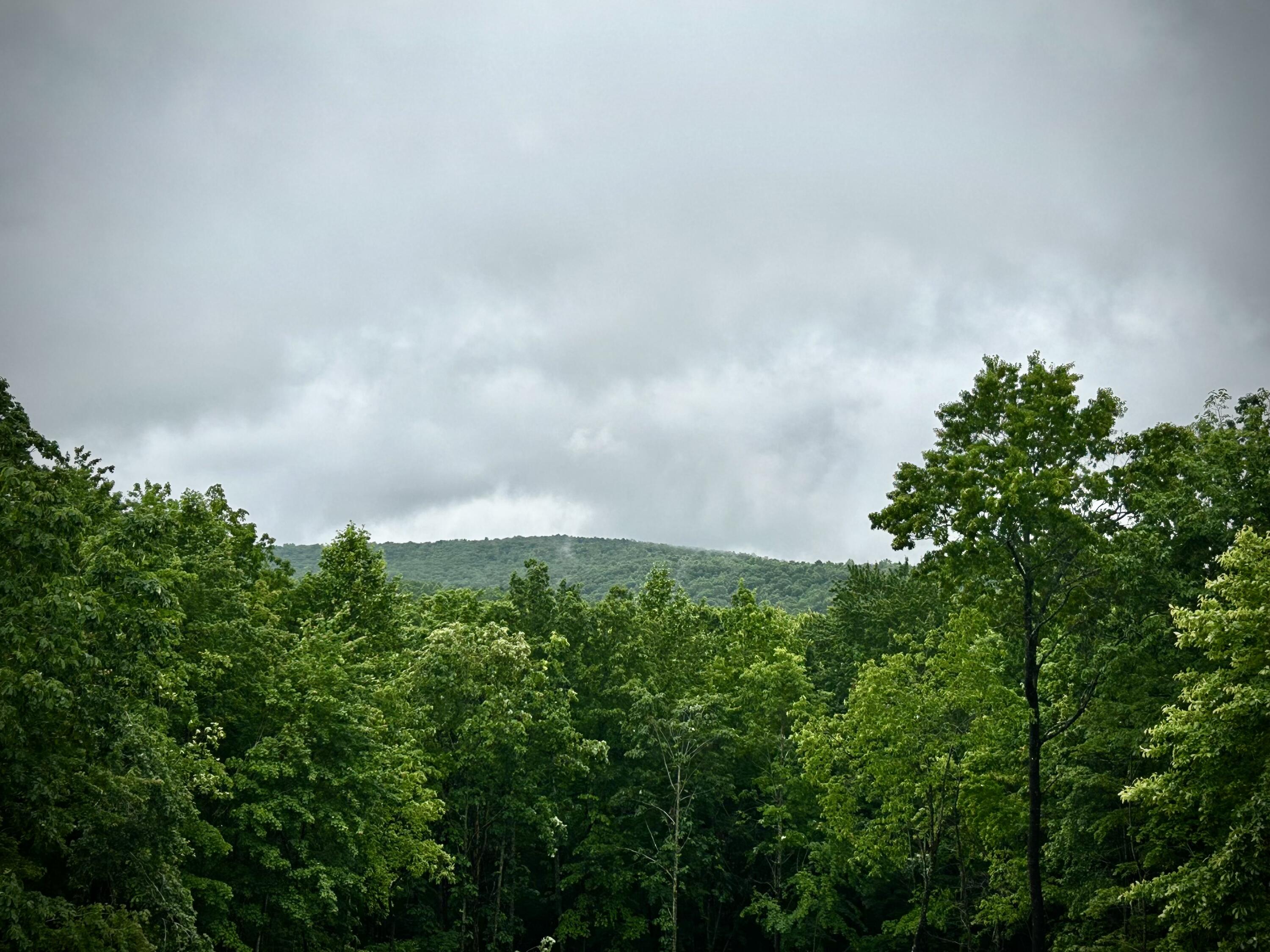 209 Tunnie Point Property Photo 49