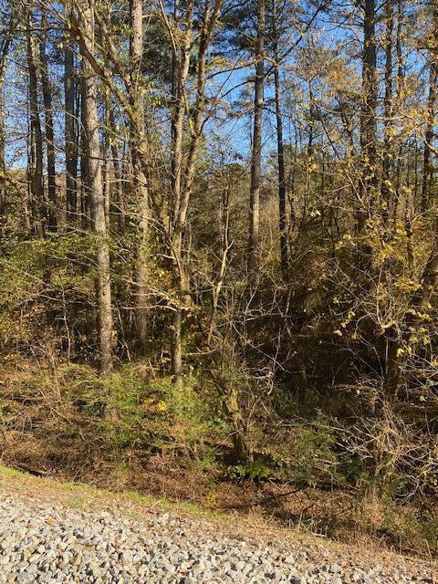 0 N Hwy 411 Property Photo 1