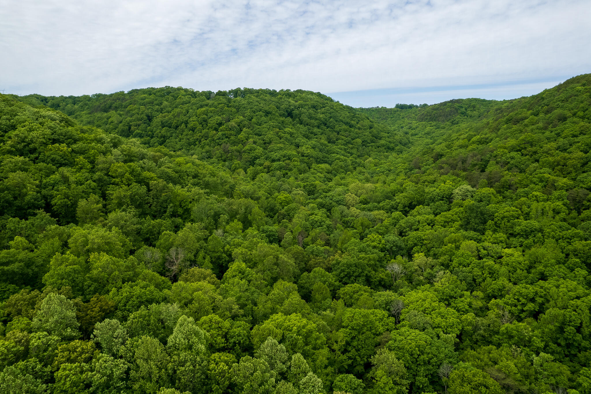 00 Murphy Hollow Property Photo 5