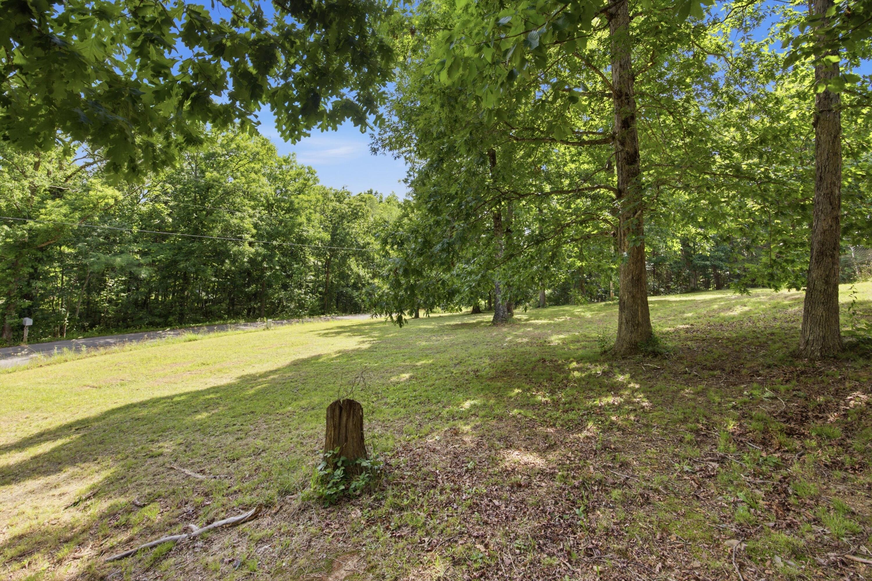 40 Black Mountain Road Property Photo 36
