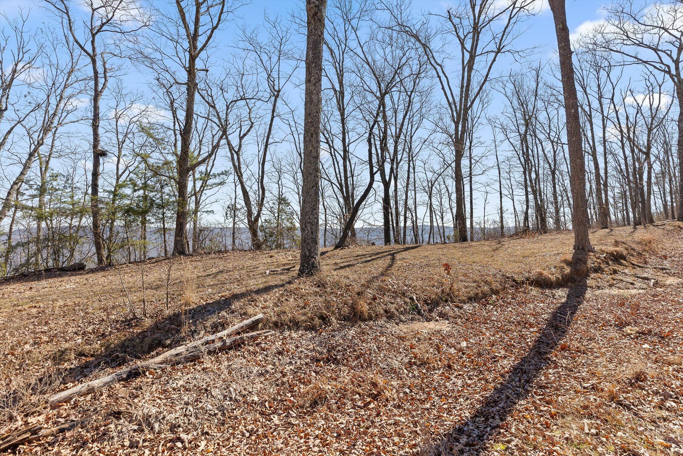 4233 Amethyst Road Property Photo 4