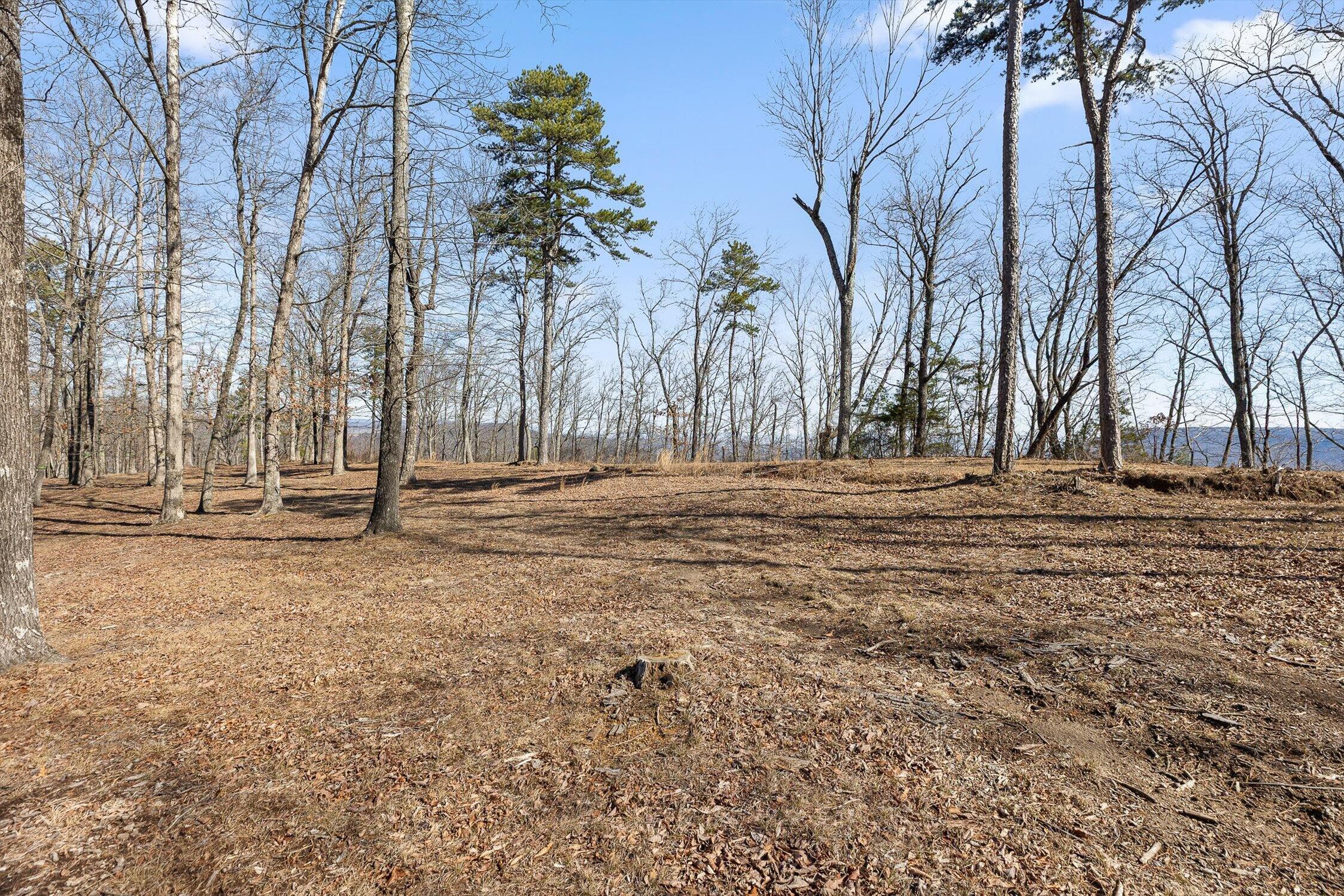 4233 Amethyst Road Property Photo 5
