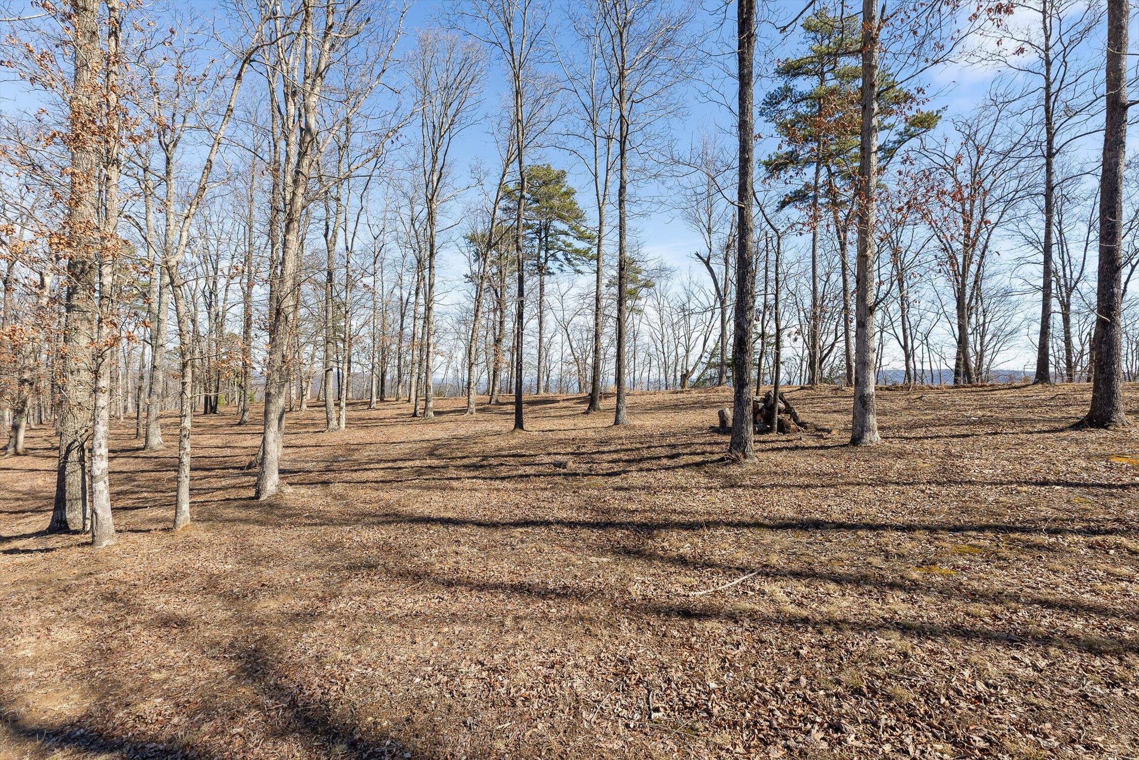 4233 Amethyst Road Property Photo 6