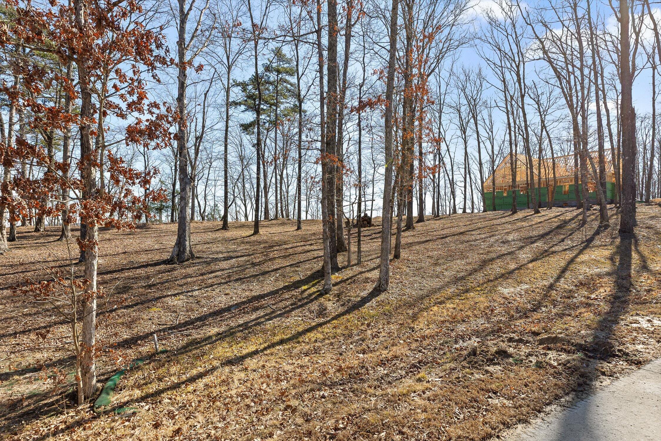 4233 Amethyst Road Property Photo 7
