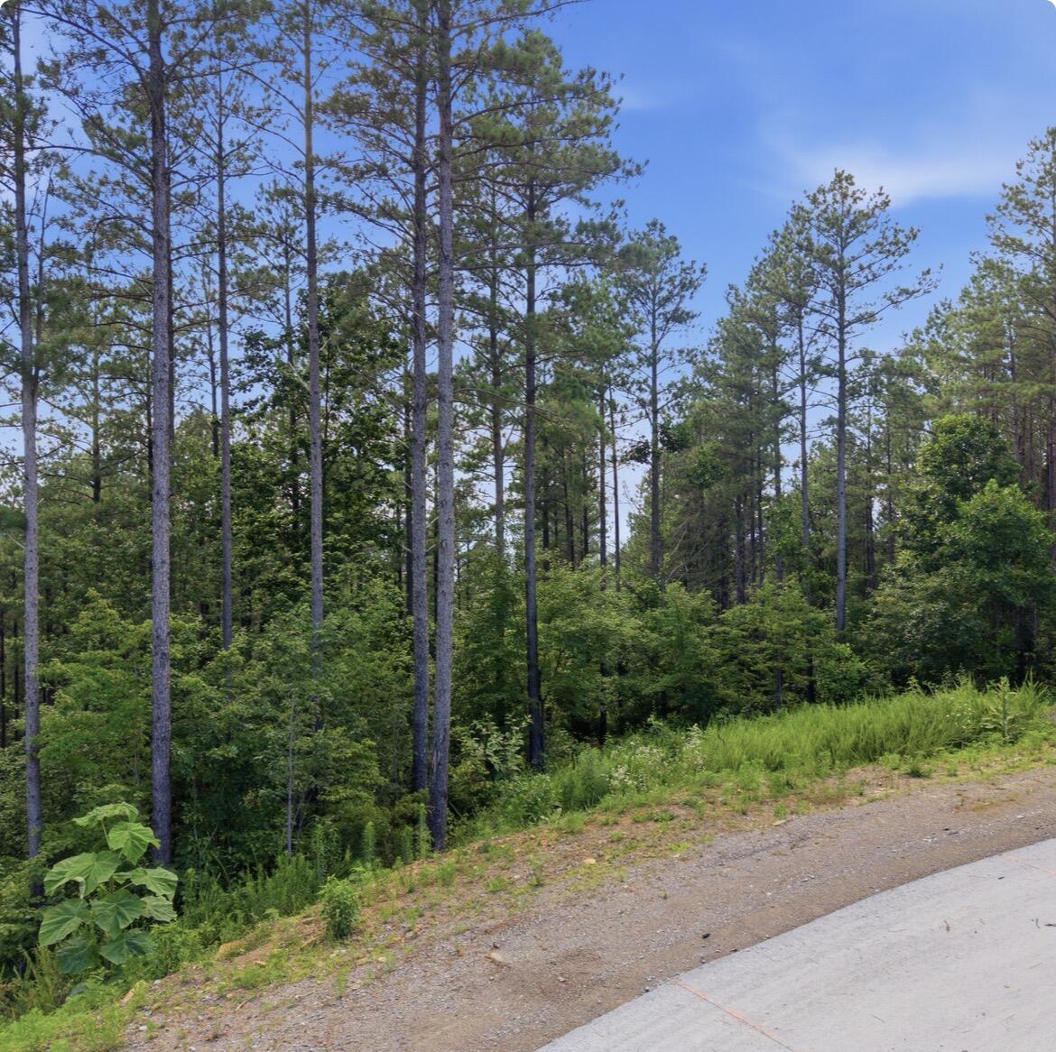 1141 Split Rail Way Property Photo 2
