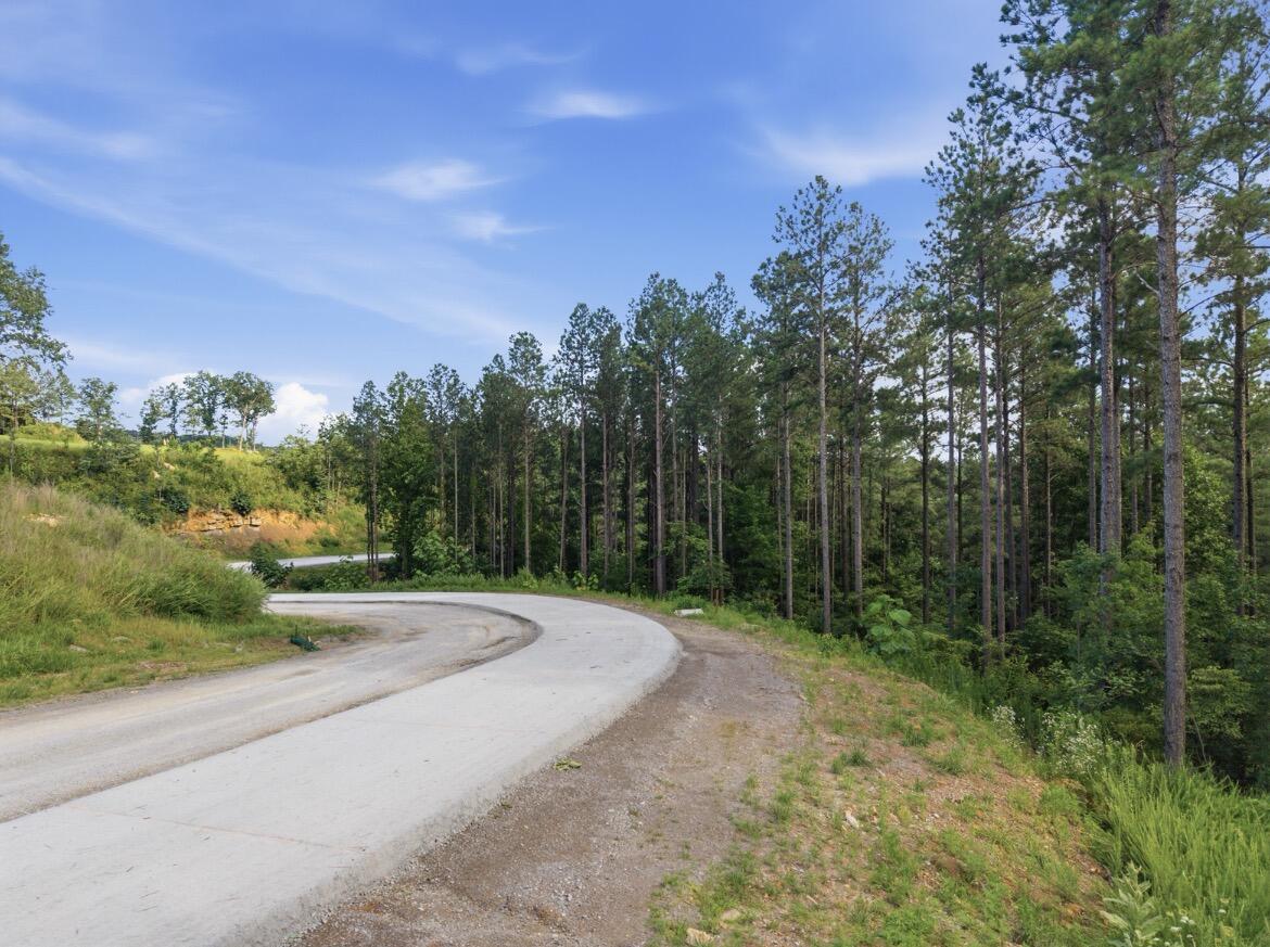 1141 Split Rail Way Property Photo 8