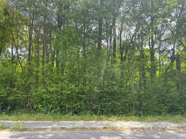 0 Mclemore Street Property Photo 1