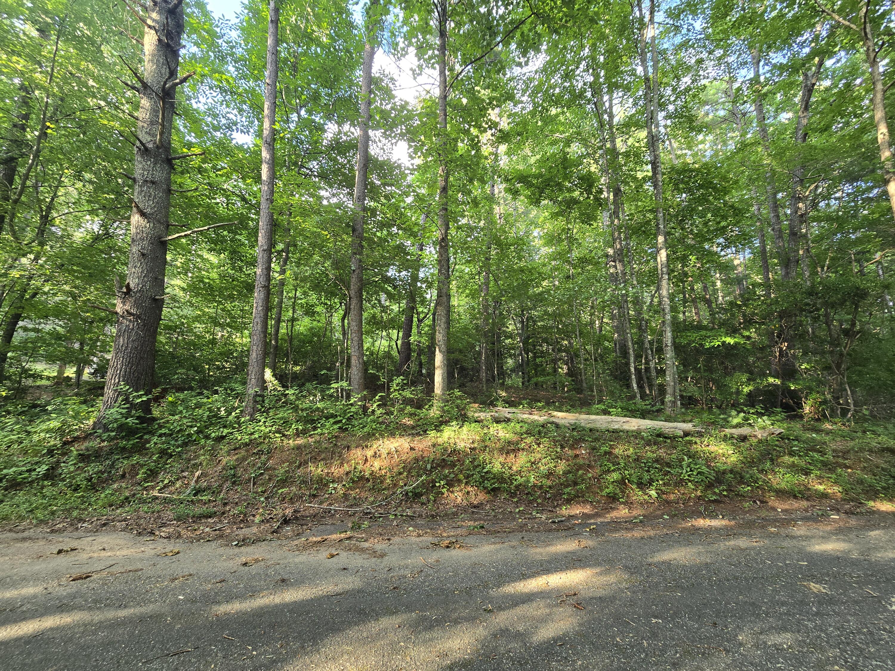 000 Colwell Church Rd Property Photo 1