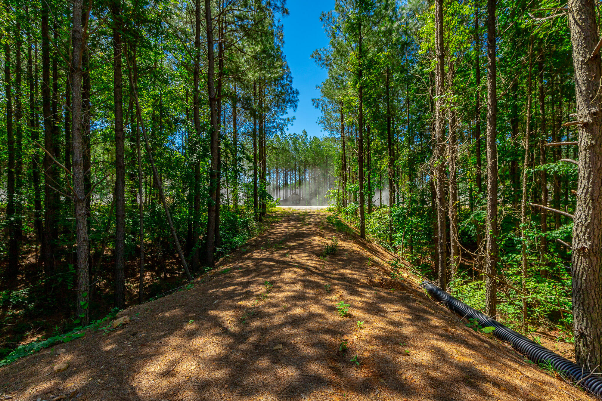 1163 Split Rail Way Property Photo 52