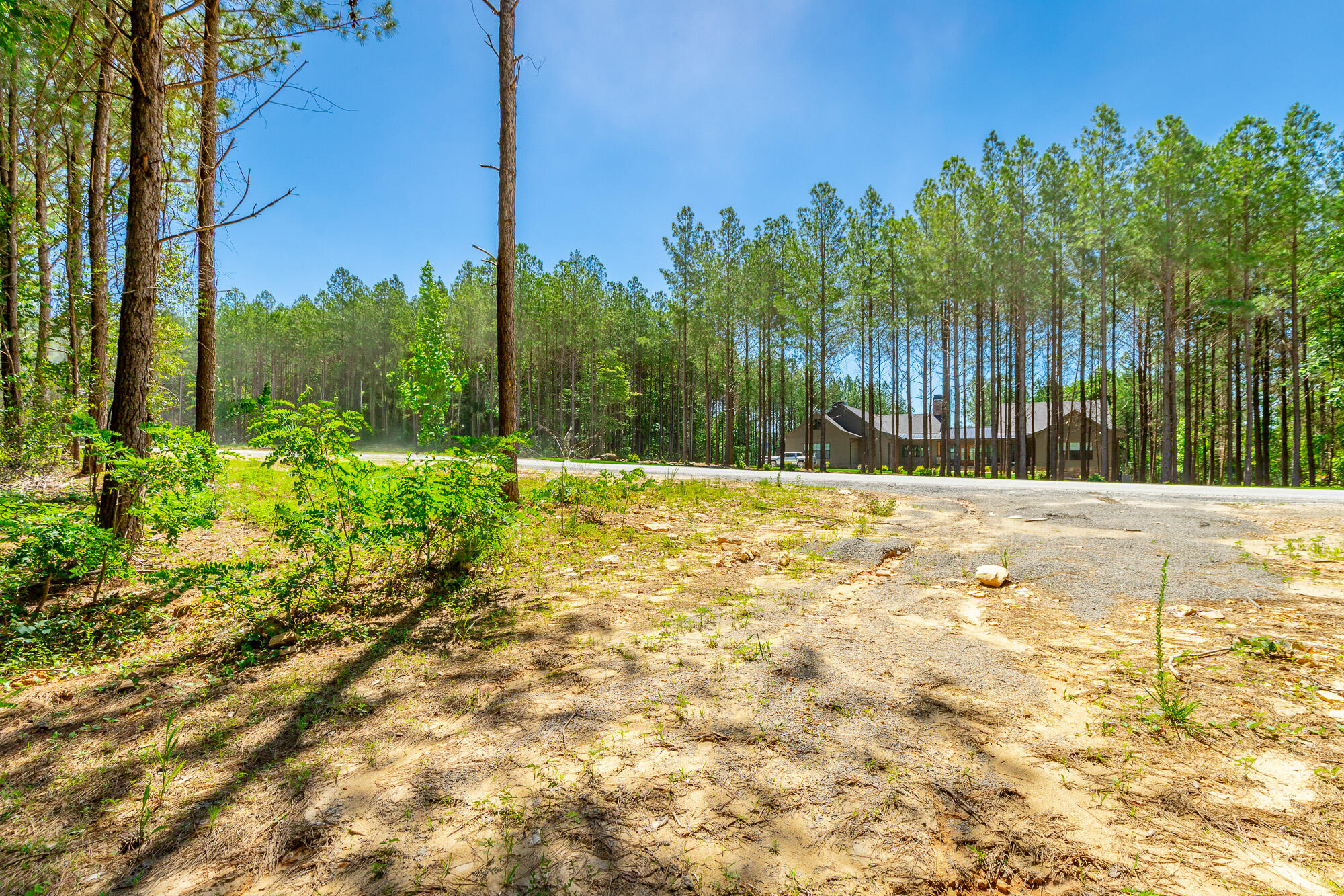 1163 Split Rail Way Property Photo 53