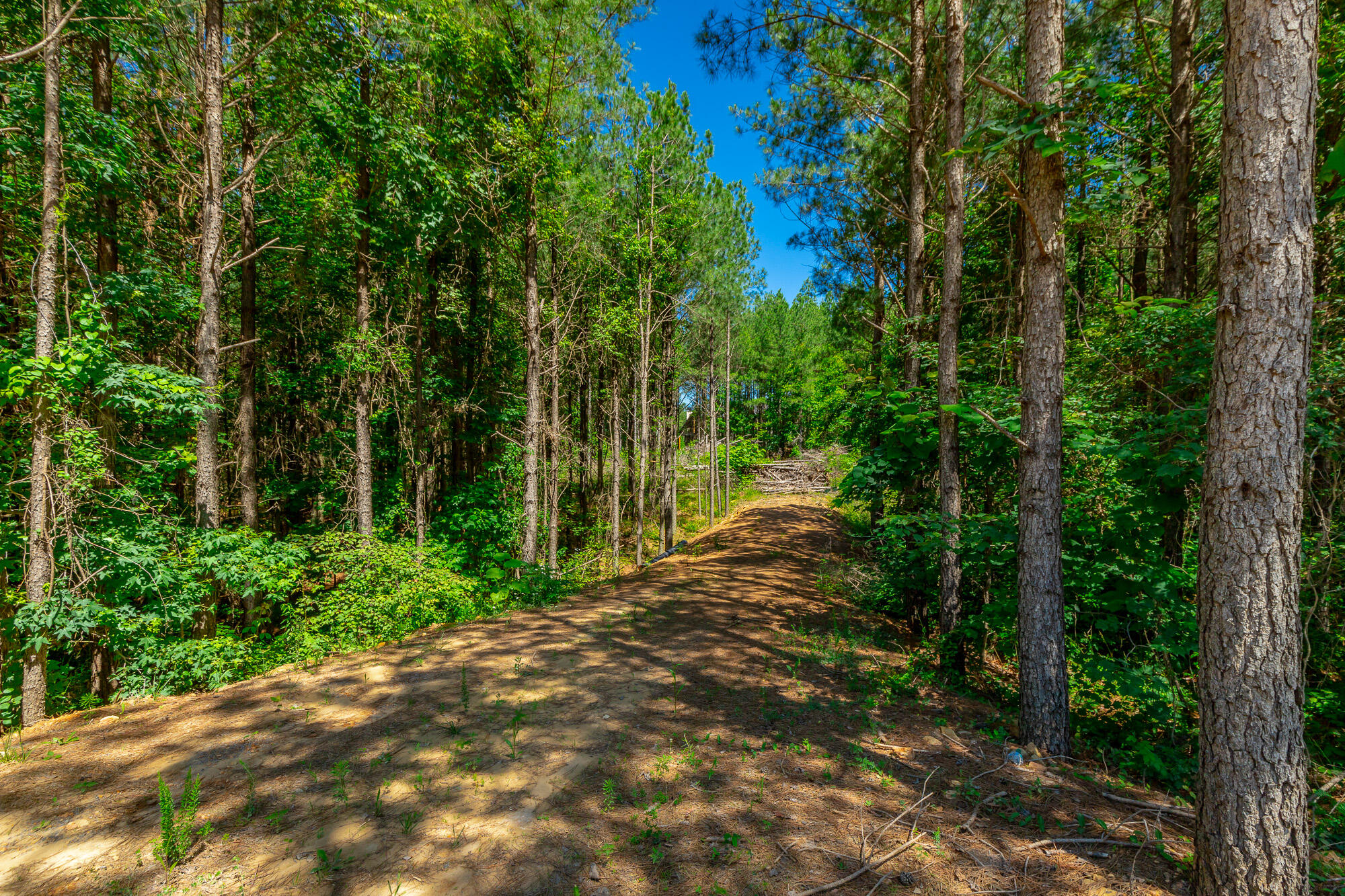 1163 Split Rail Way Property Photo 54