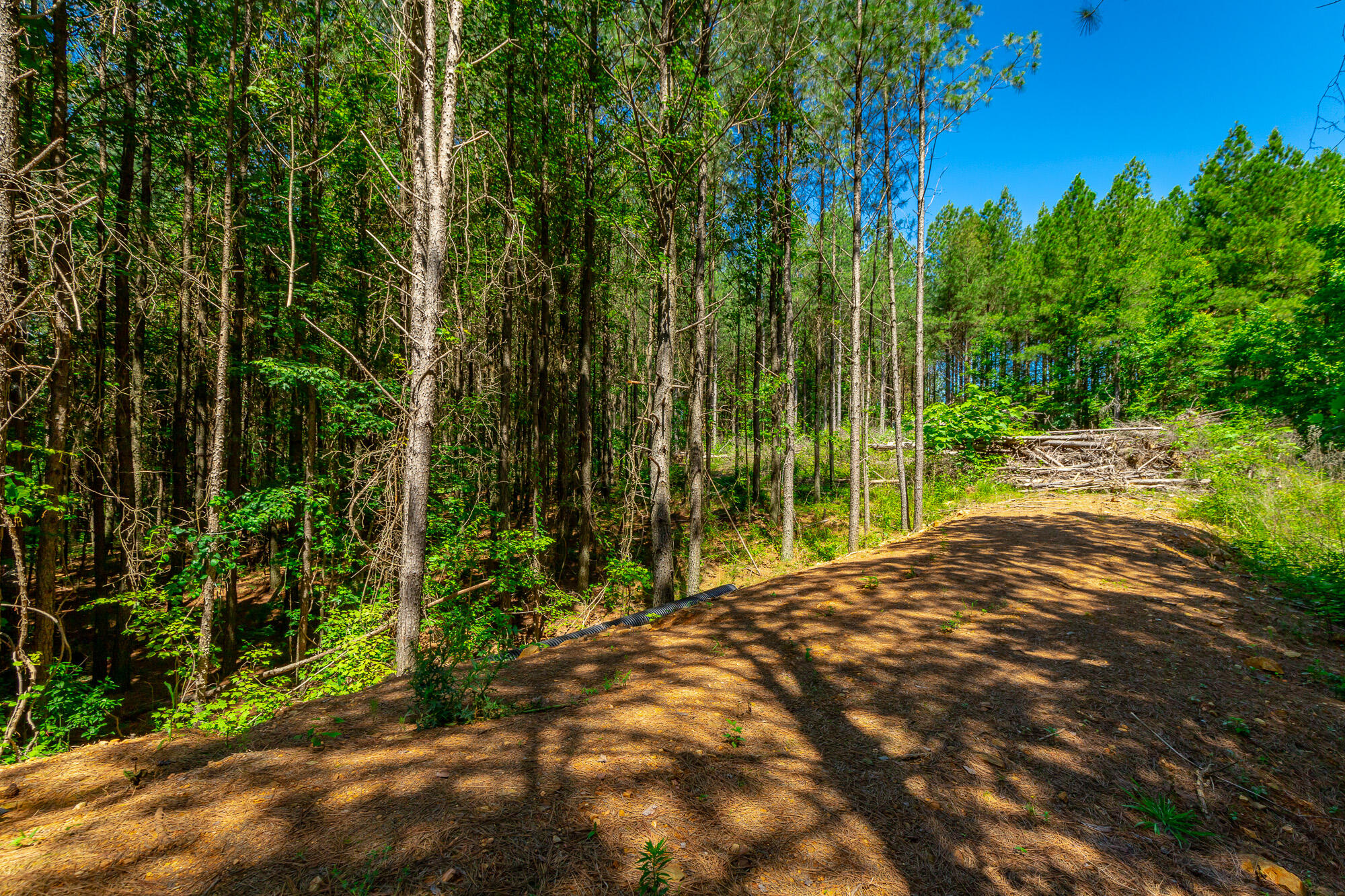 1163 Split Rail Way Property Photo 55