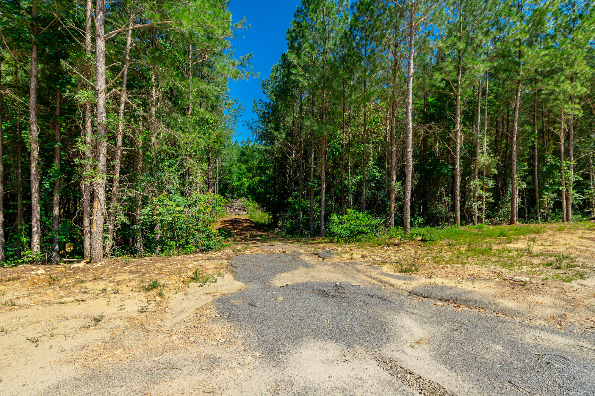 1163 Split Rail Way Property Photo 57