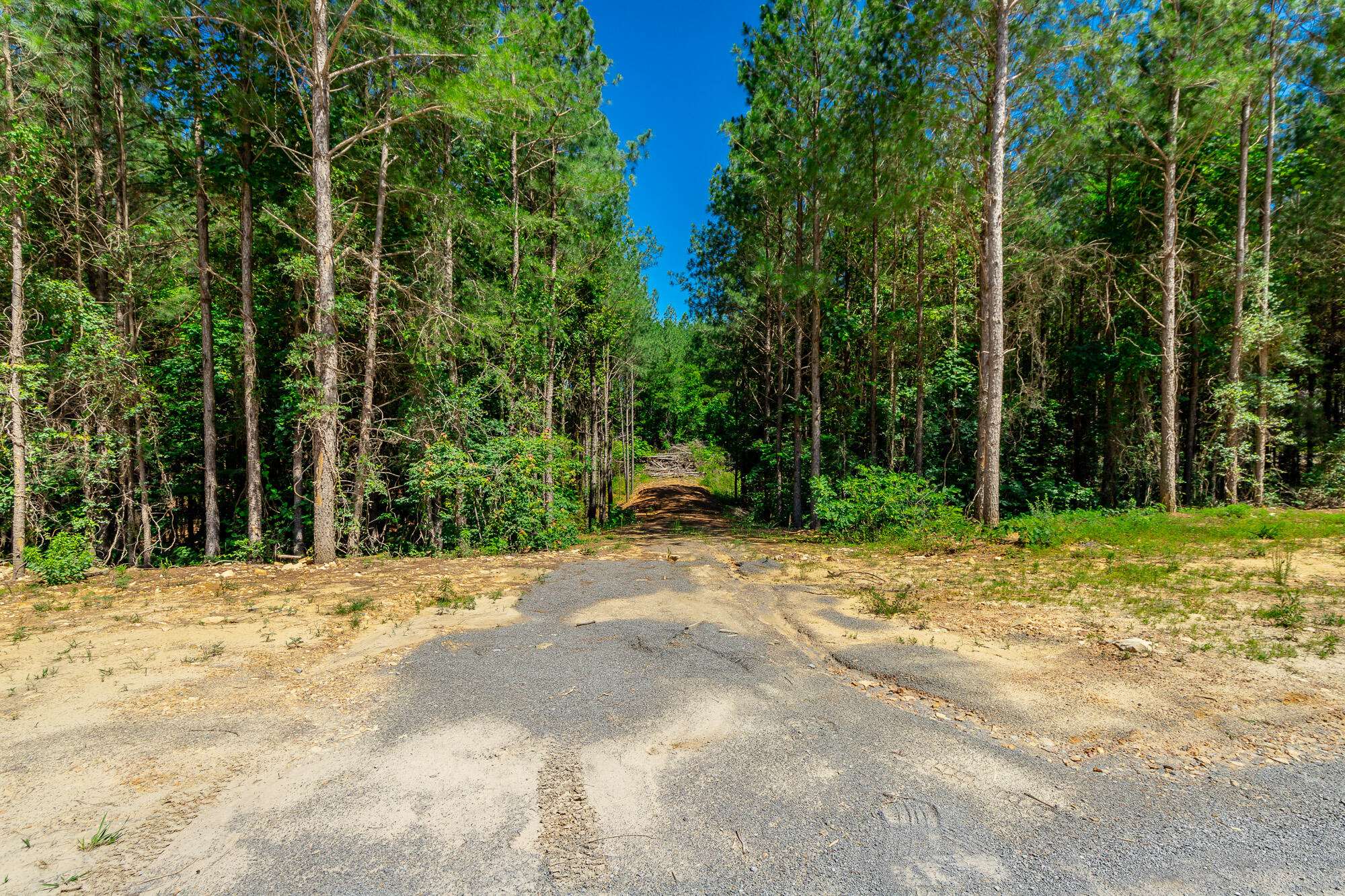 1163 Split Rail Way Property Photo 58