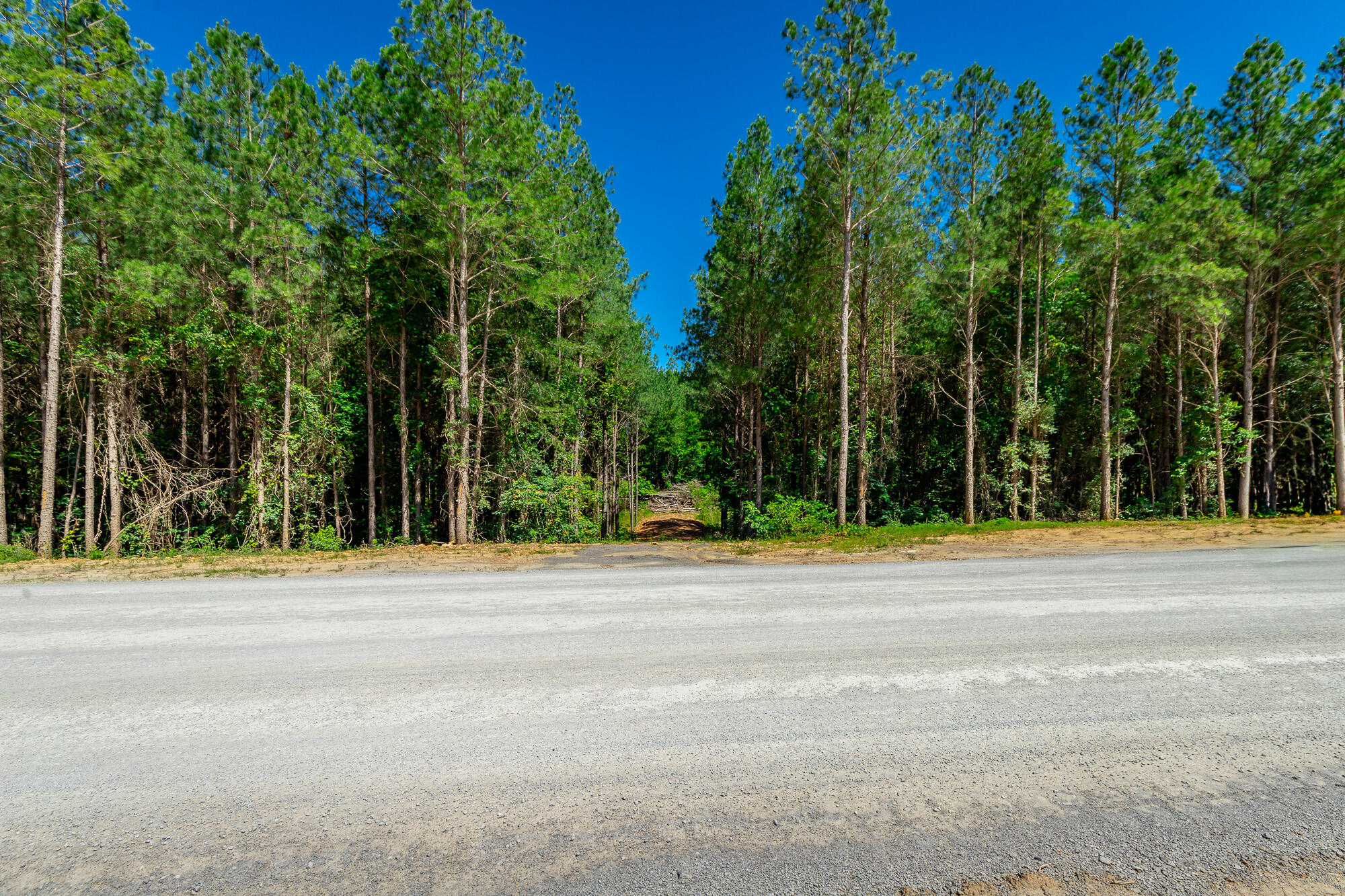 1163 Split Rail Way Property Photo 59
