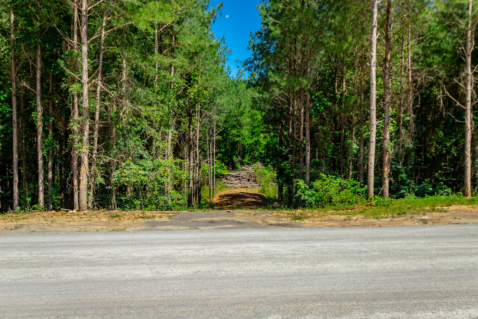 1163 Split Rail Way Property Photo 60