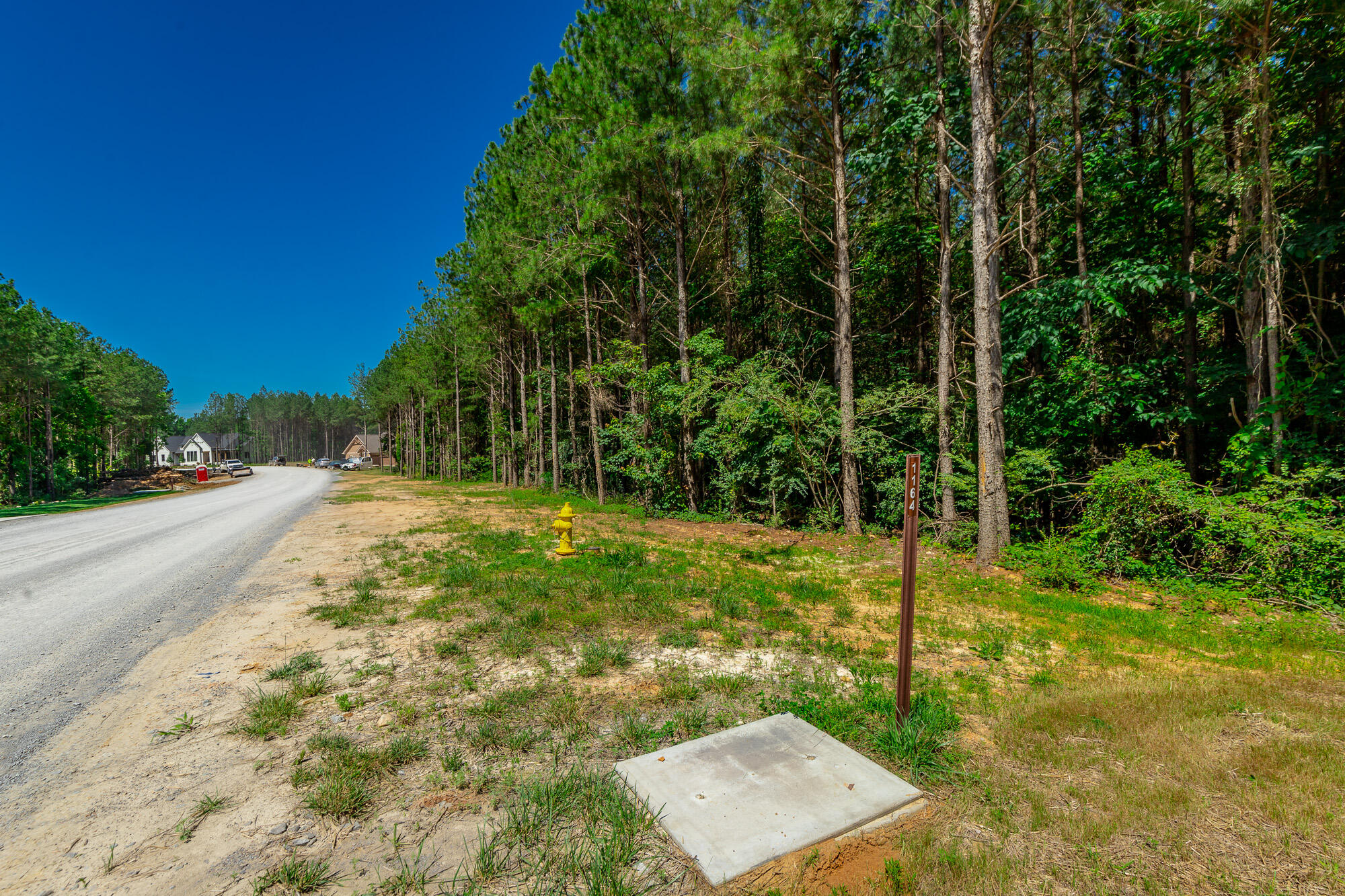 1163 Split Rail Way Property Photo 62